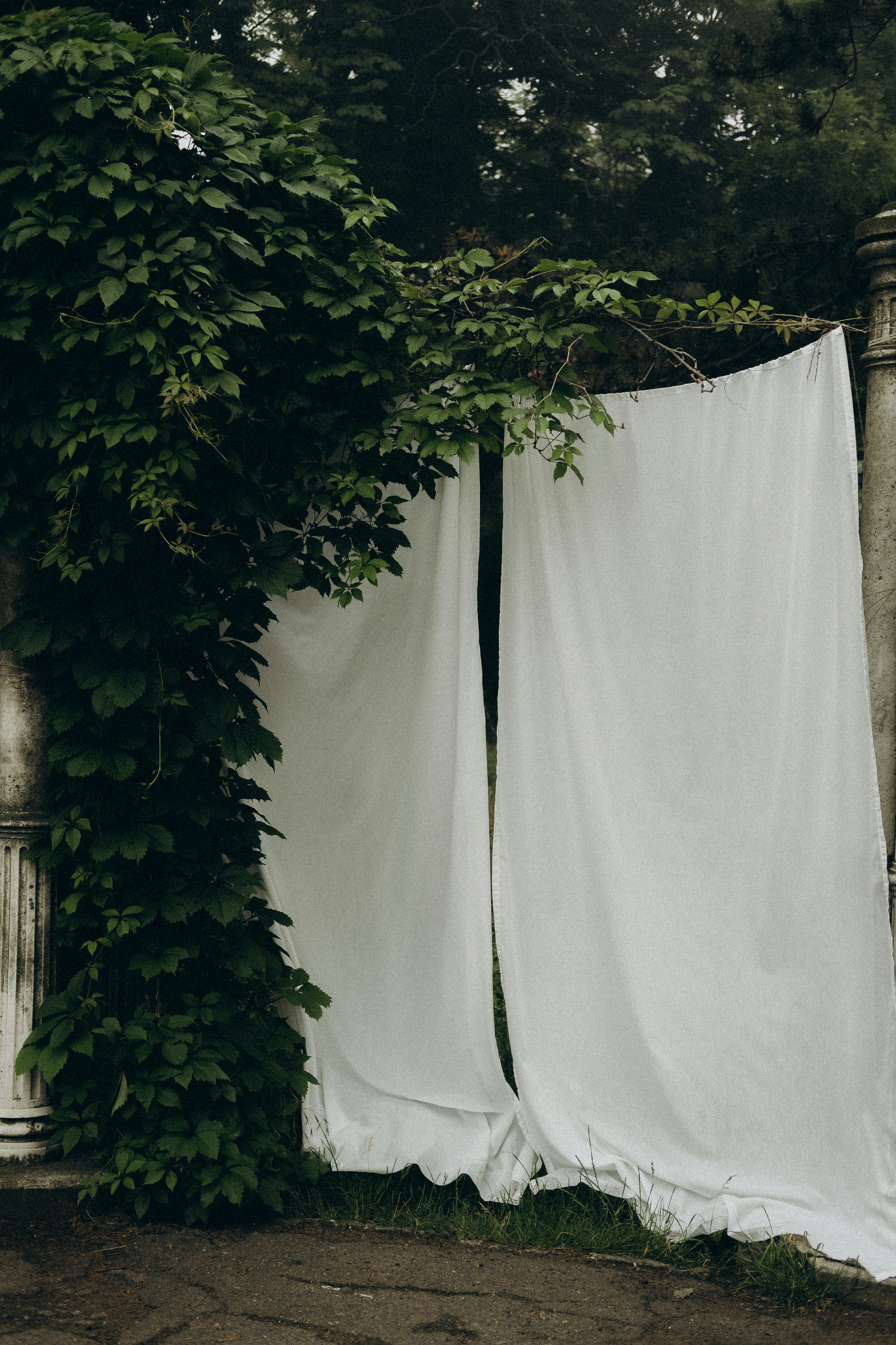 Photo by yana_hurska