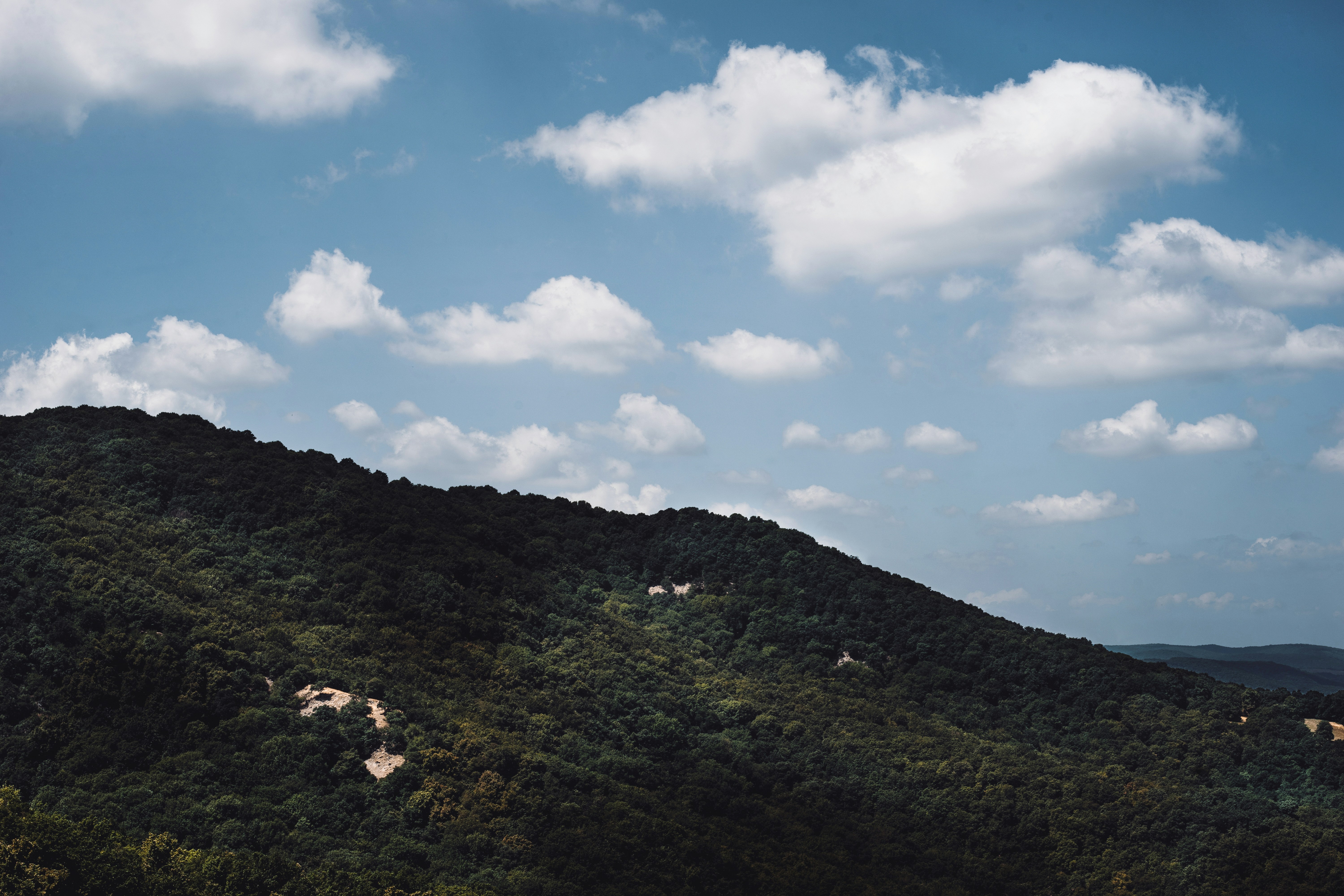 green grass field under blue sky and white clouds during daytime