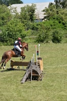 A person is riding a horse during an equestrian jumping event in an outdoor grassy area. The horse is mid-air, clearing a wooden obstacle covered in brush. The rider is wearing a helmet and riding gear, and there are numbered markers indicating the jump.