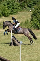 A person dressed in equestrian gear is riding a horse in the process of jumping over an obstacle in an open grassy field. The horse is mid-air, displaying both its form and the rider's posture, emphasizing coordination and technique. Surrounding the scene are lush green trees and bushes, providing a verdant backdrop.
