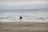 Close-up of a rider enjoying a peaceful moment with their horse by the sea.