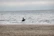 Close-up of a rider enjoying a peaceful moment with their horse by the sea.