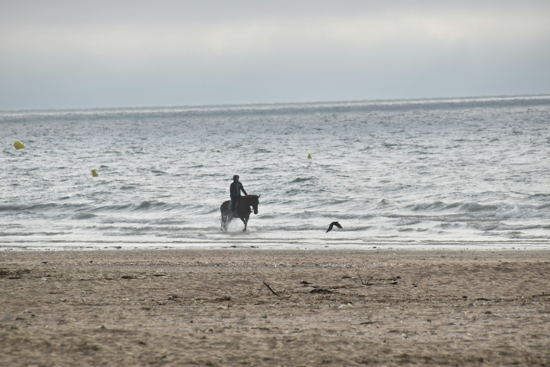 Close-up of a rider enjoying a peaceful moment on horseback near the turquoise waters of Playa Marbella.