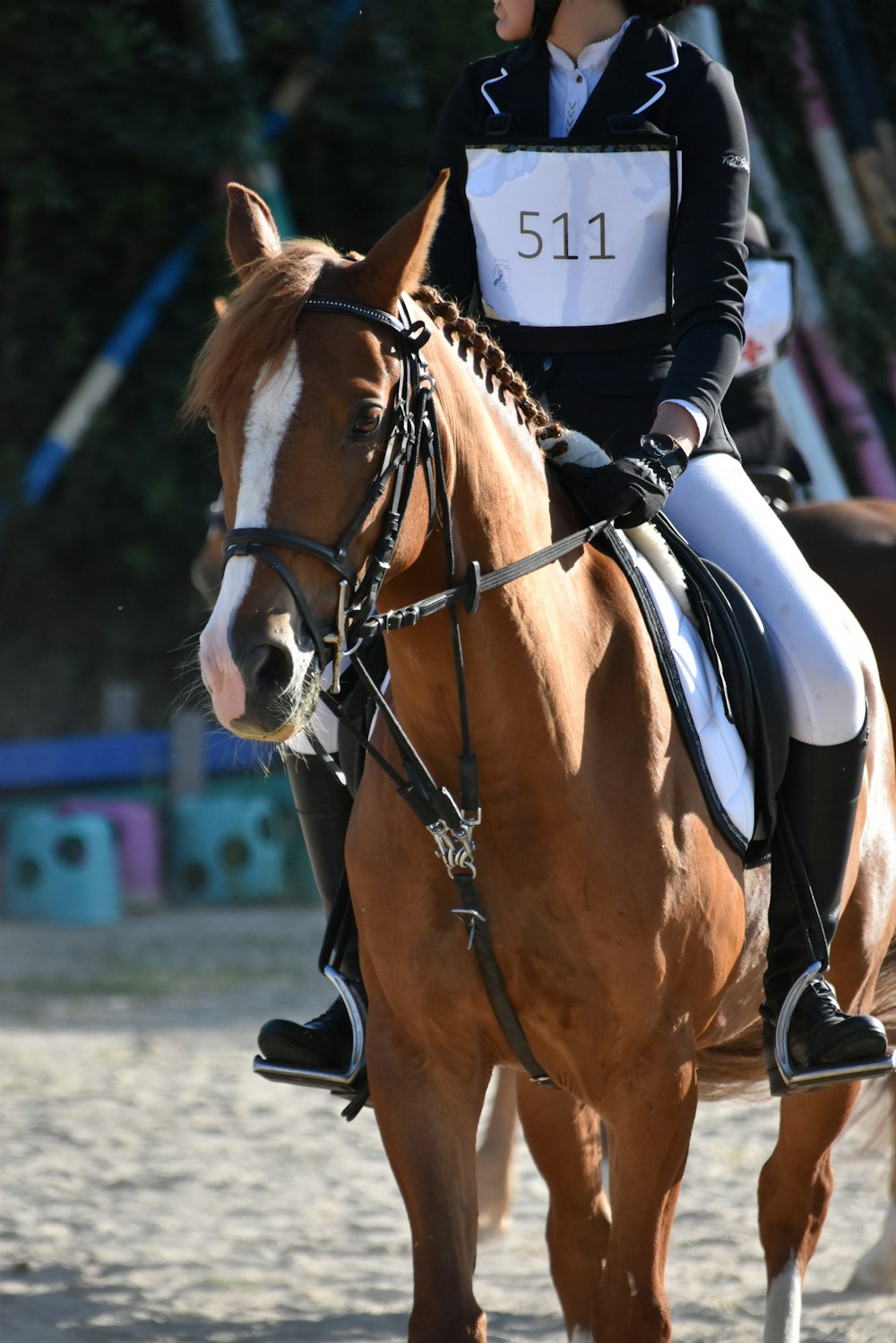 person in black and white long sleeve shirt riding brown horse during daytime