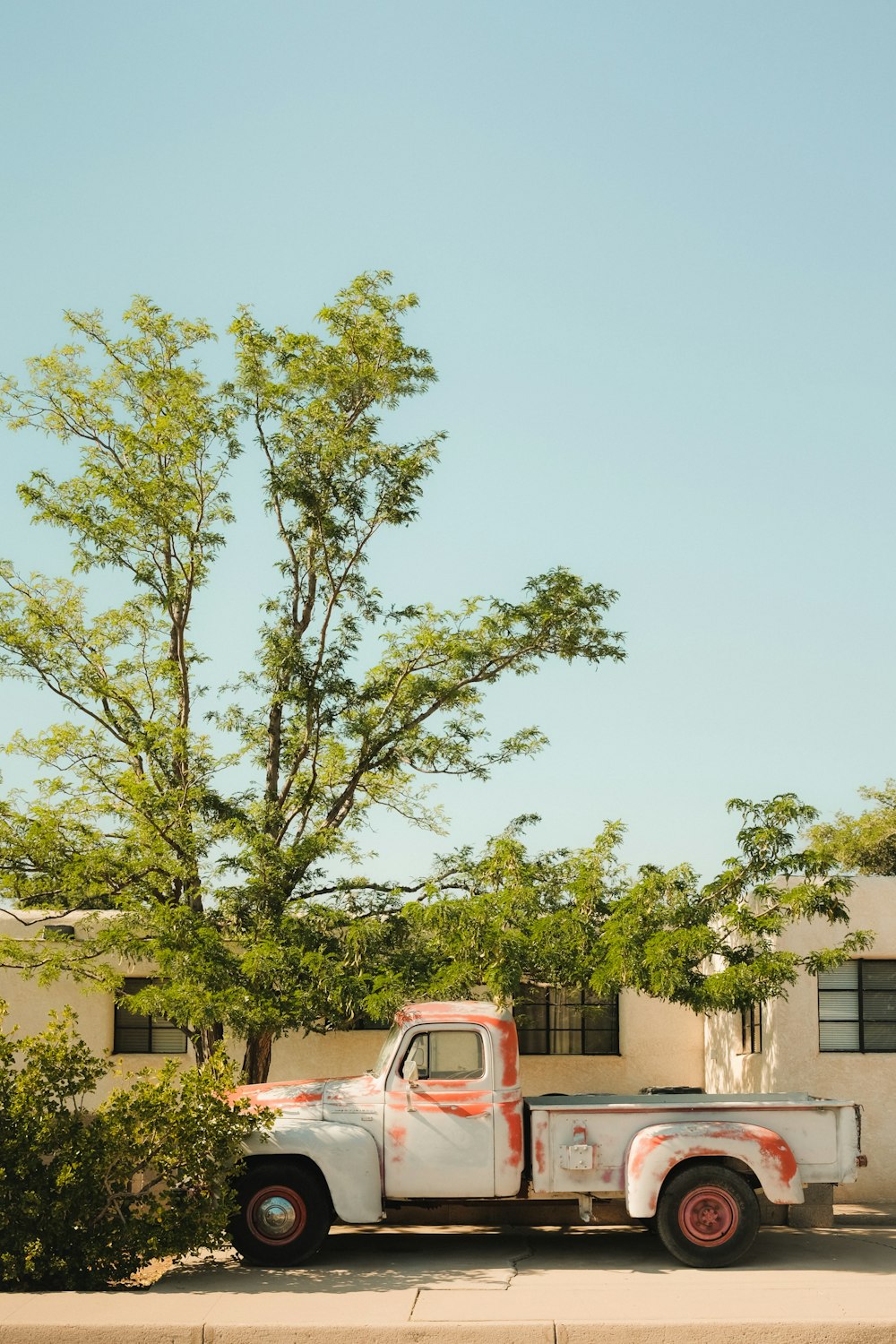 green tree near brown concrete building during daytime