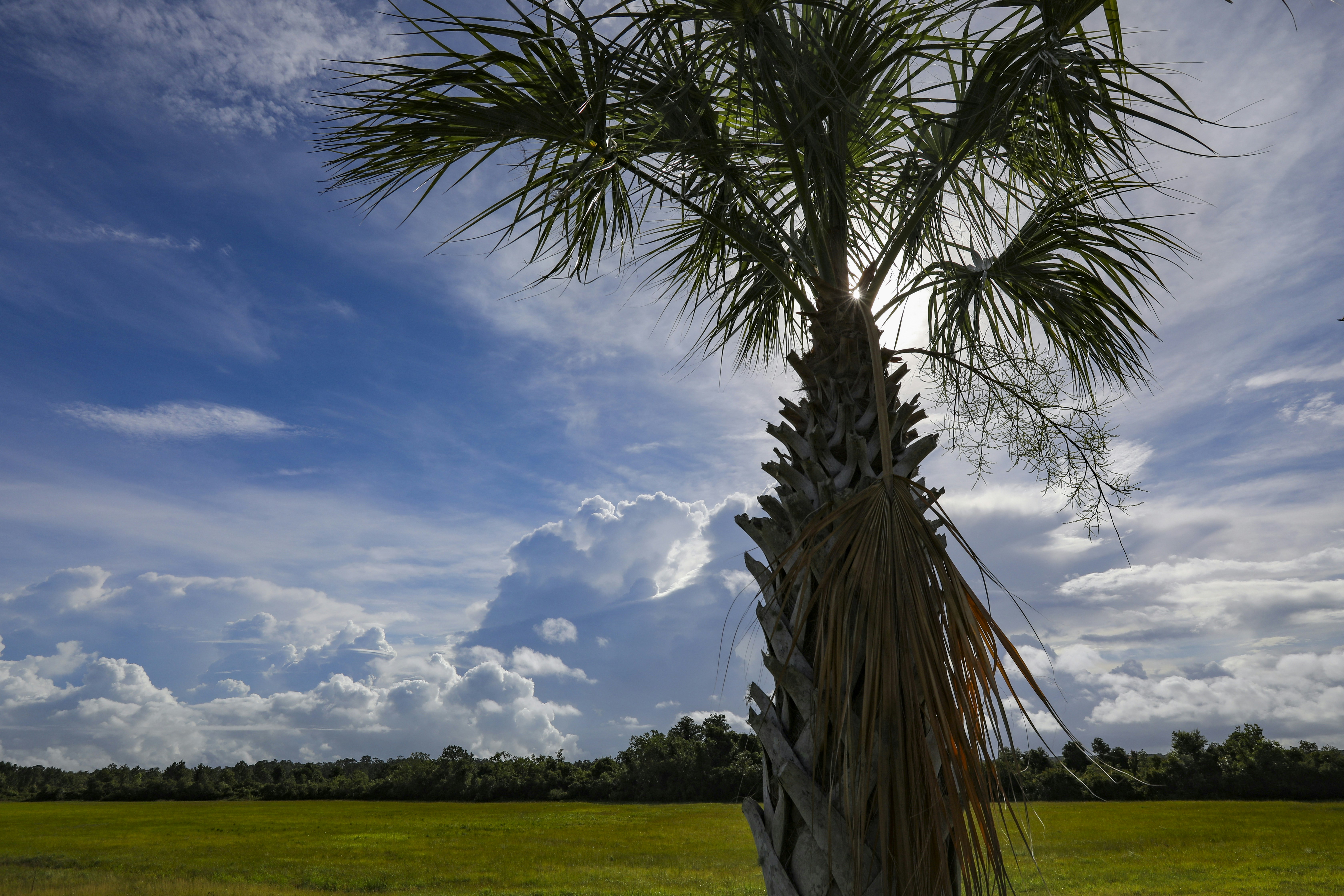 A couple sitting with a mediator discussing legal documents during a divorce mediation session.