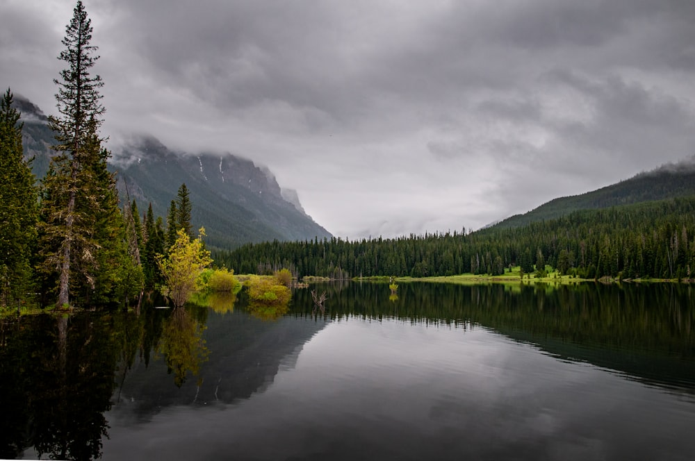 arbres verts près du lac sous ciel nuageux pendant la journée