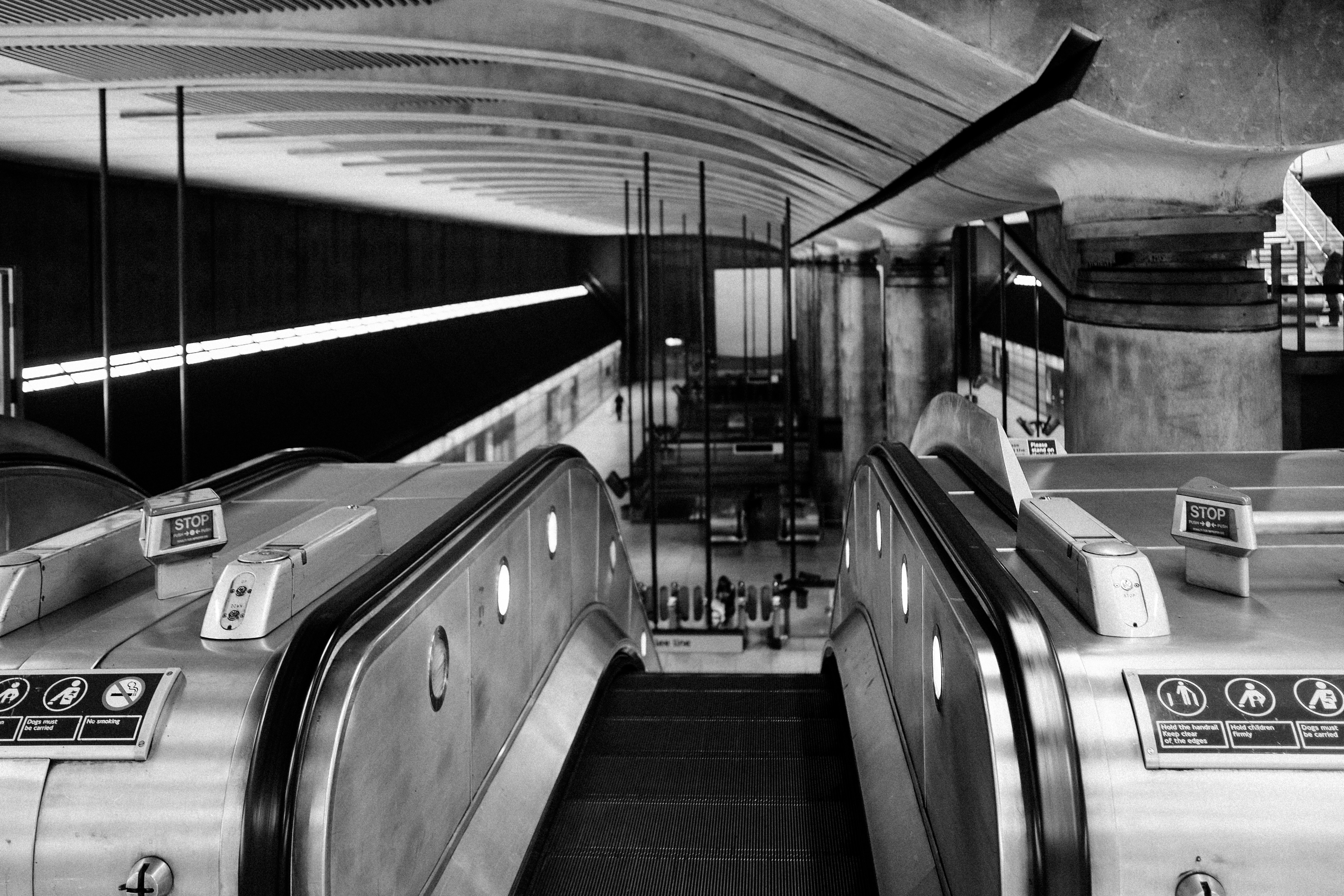 Photo by reganography