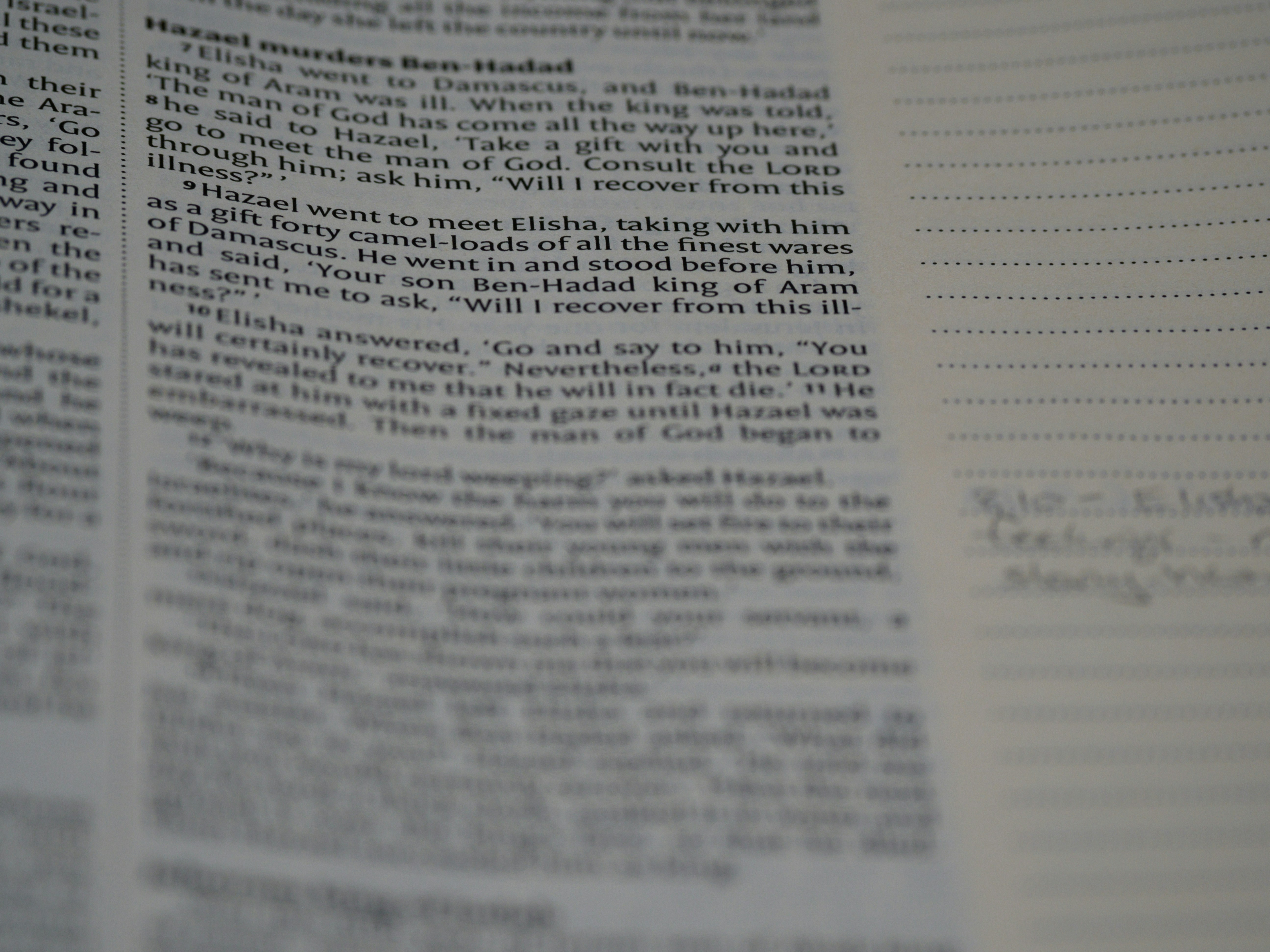 Photo by brett_jordan