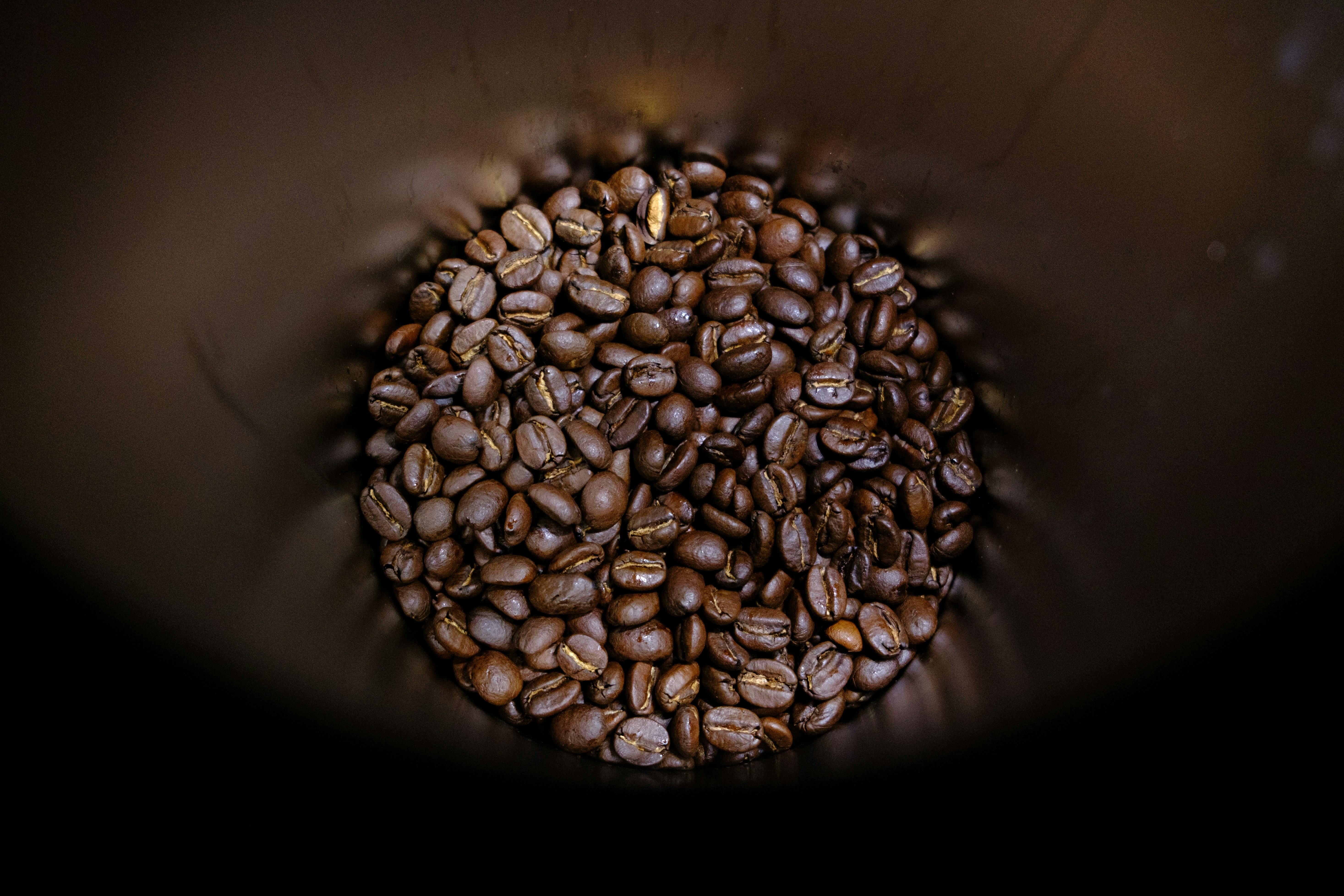 Rare Earth Coffee Menu