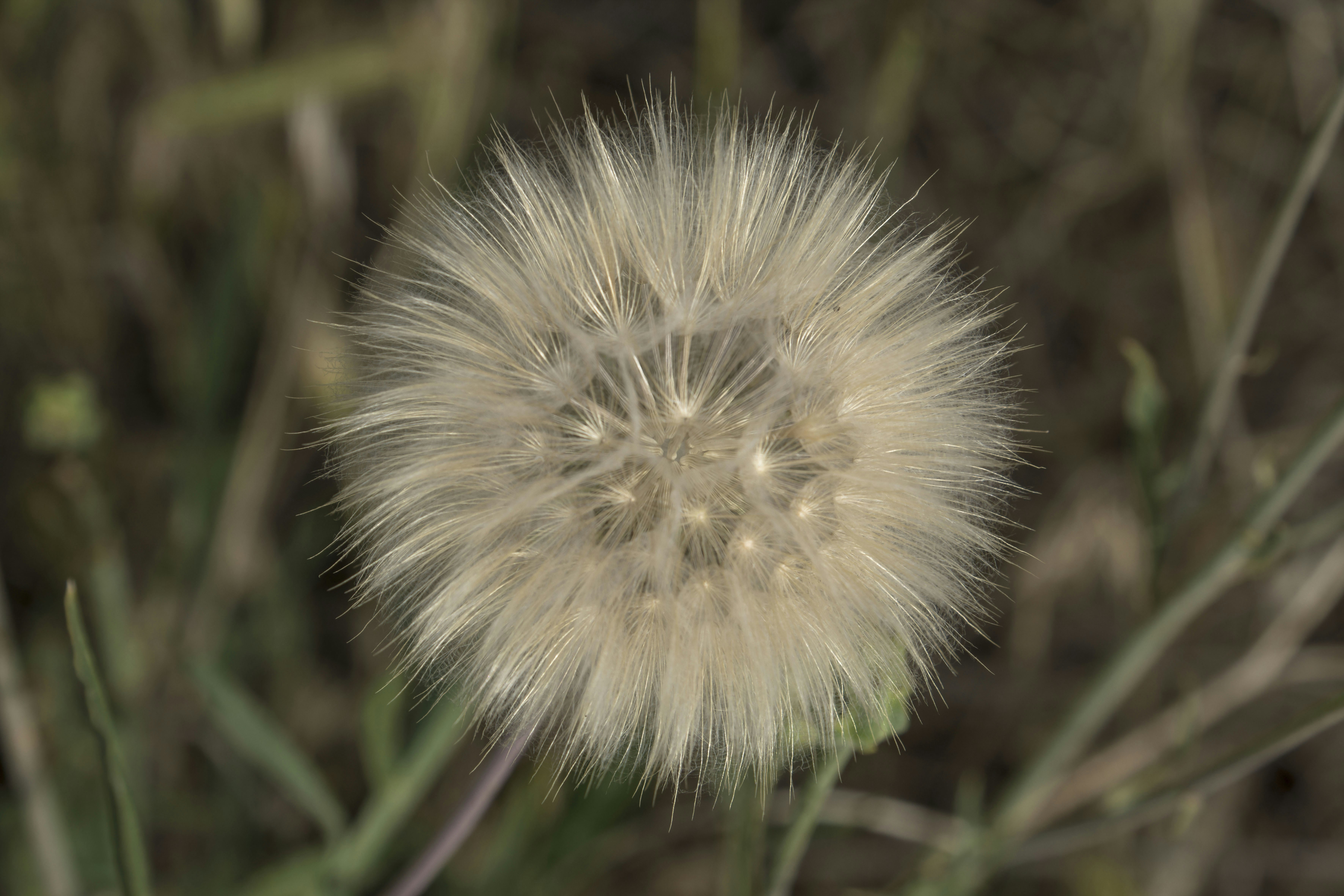 Photo by javad_esmaeili