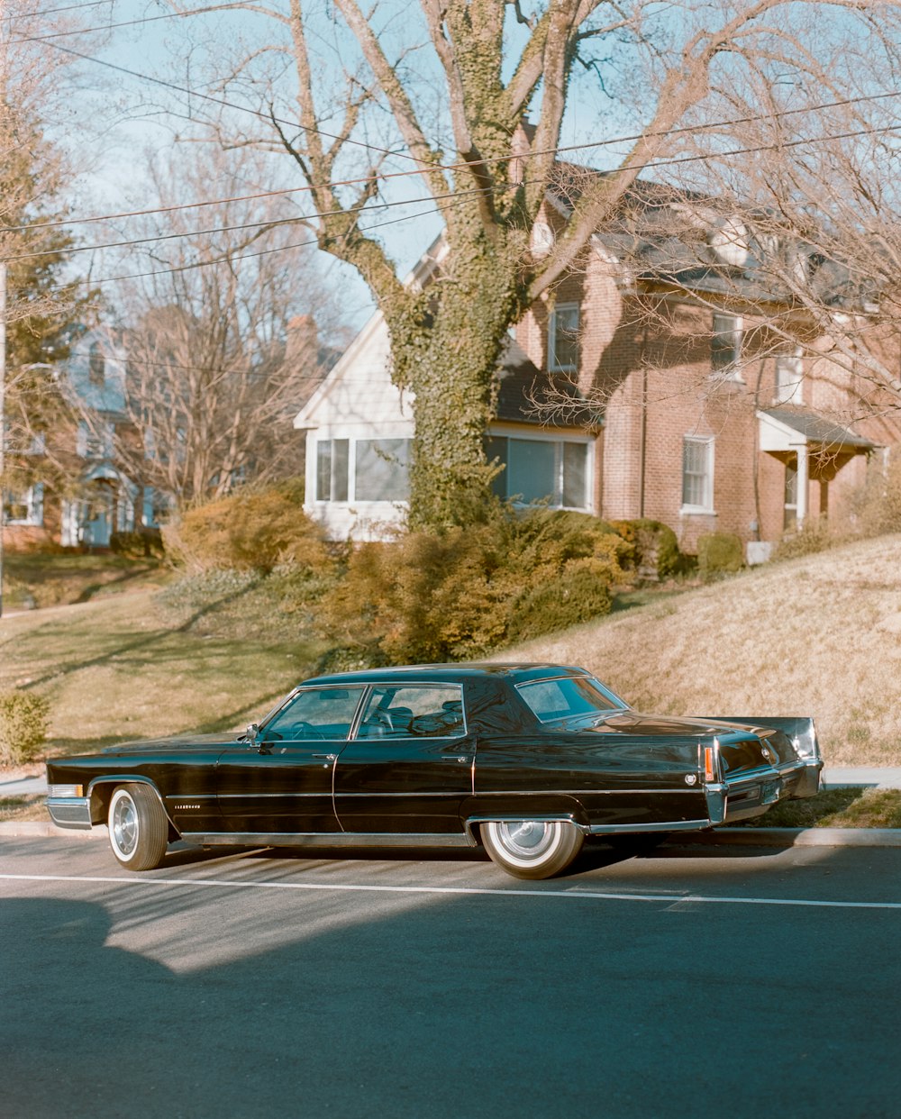 black car parked on roadside near brown bare tree during daytime