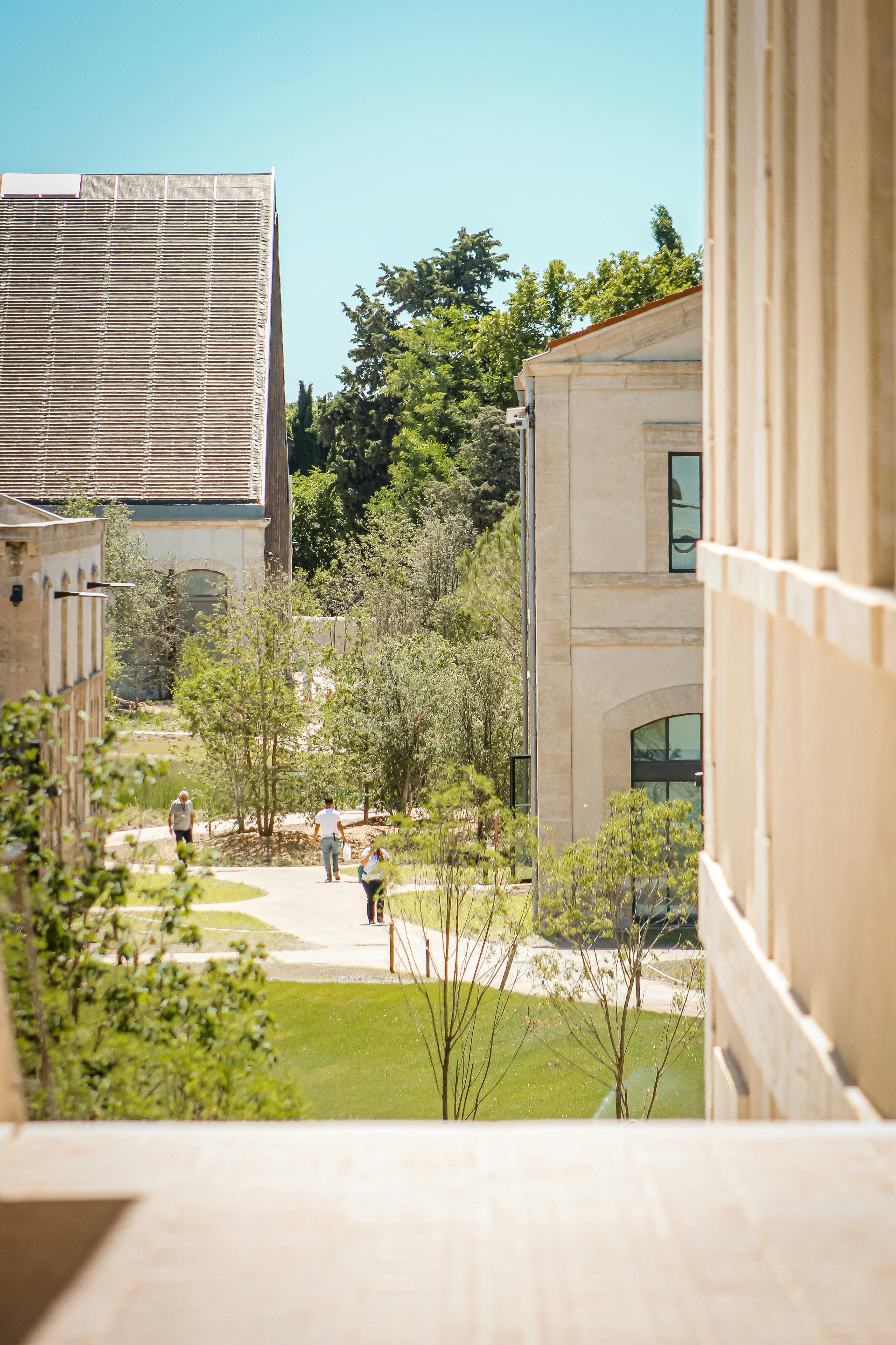 green trees near brown concrete building during daytime