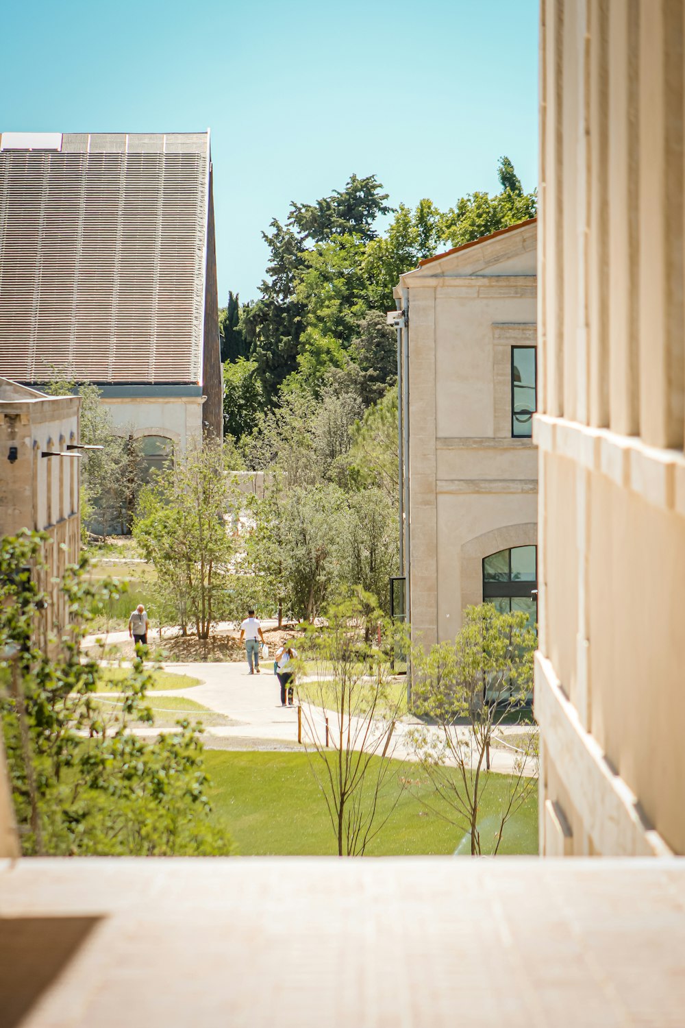 green trees near brown concrete building during daytime