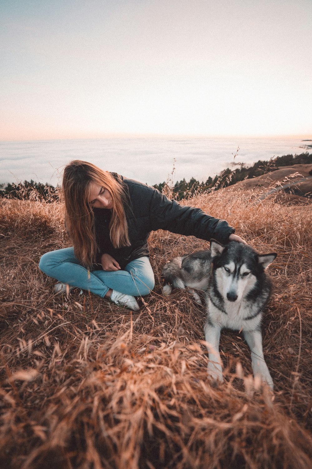 woman in black jacket and blue denim jeans sitting on brown grass field with siberian