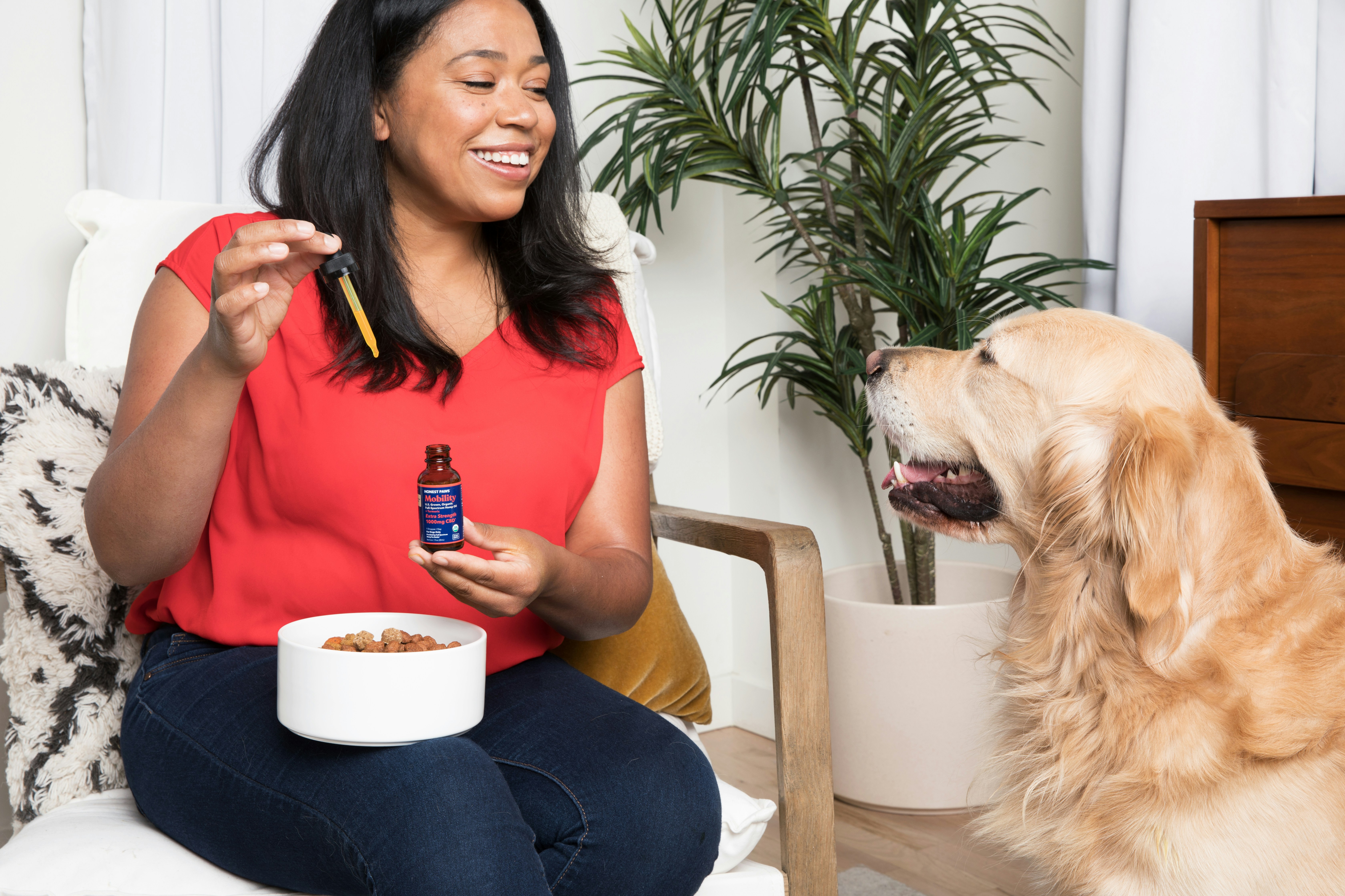 commercial vs homemade pet food