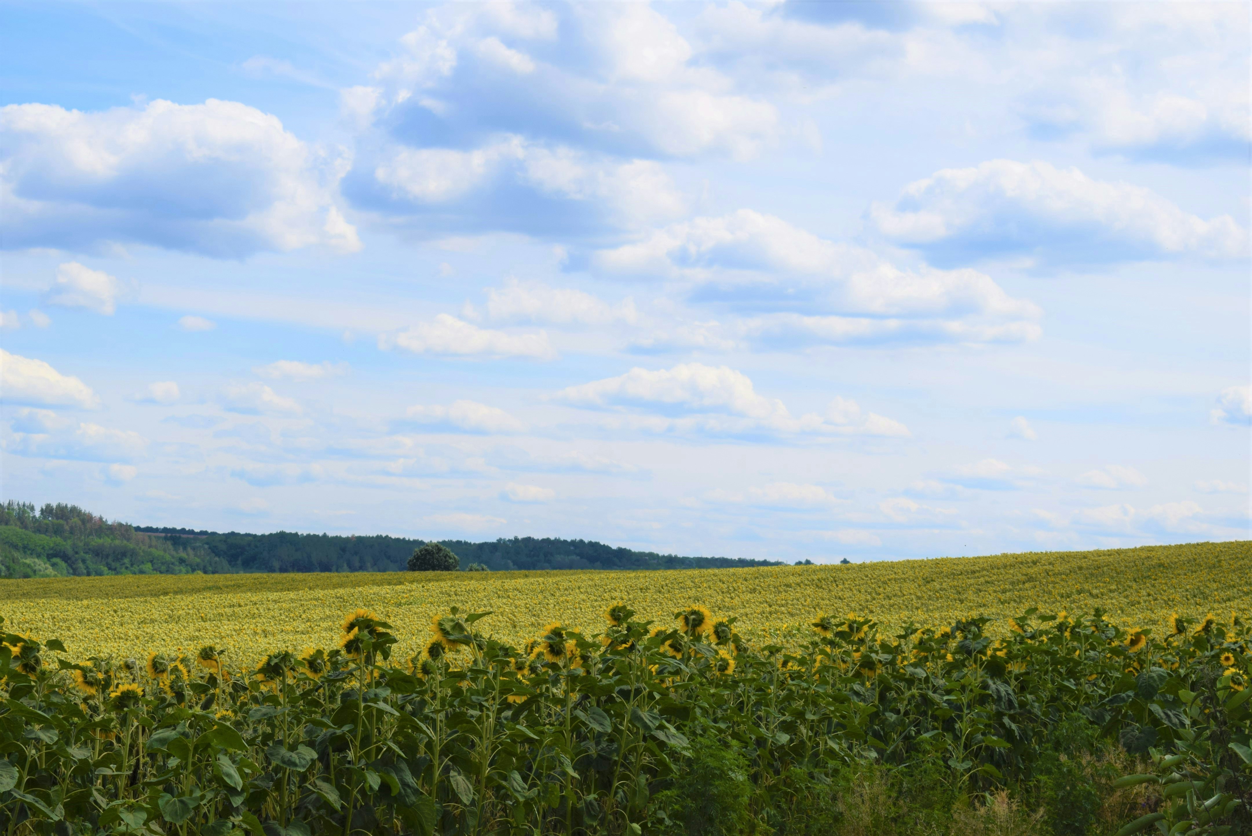 Photo by g3r4th3gr8t3st