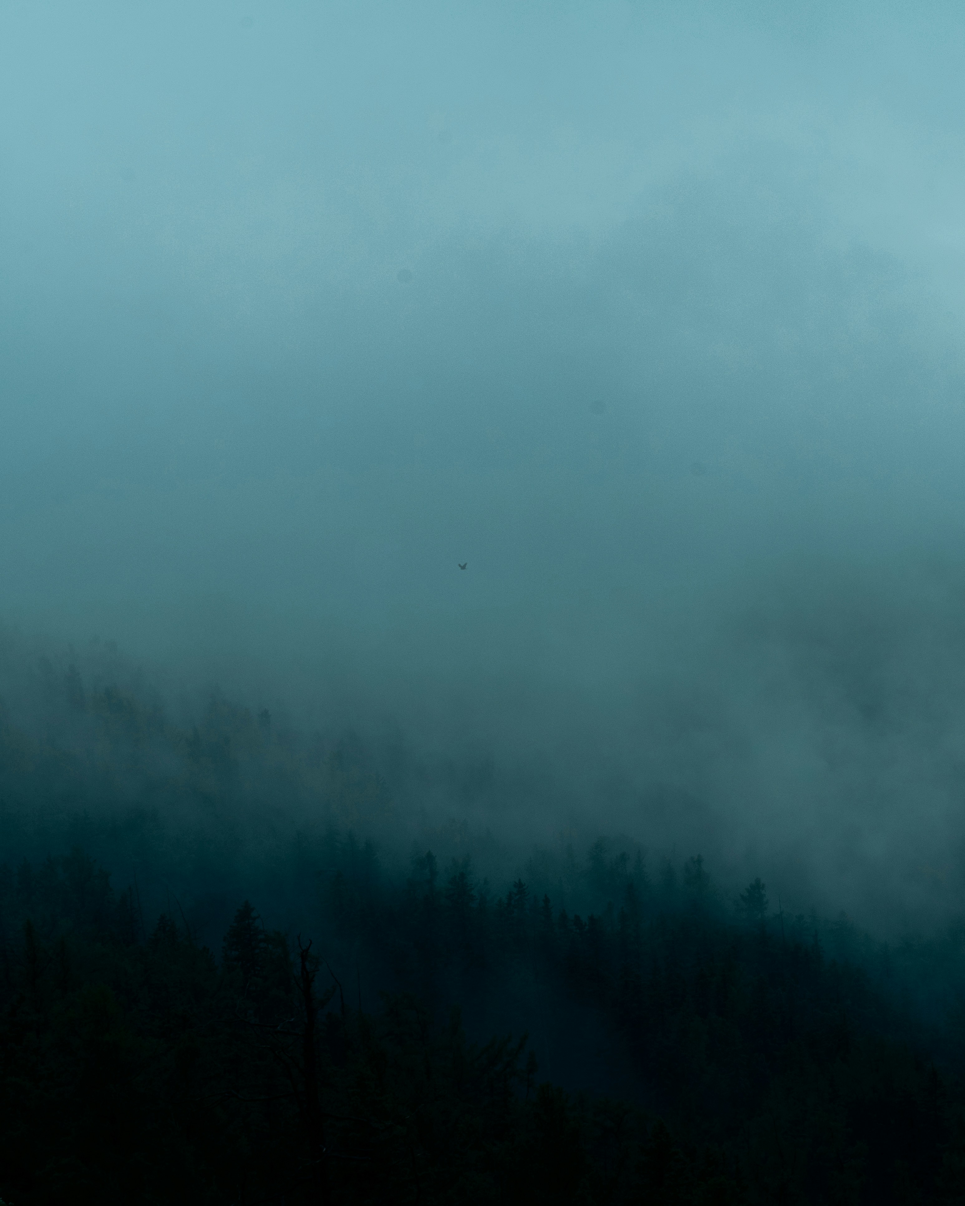 Photo by naranbayar_1