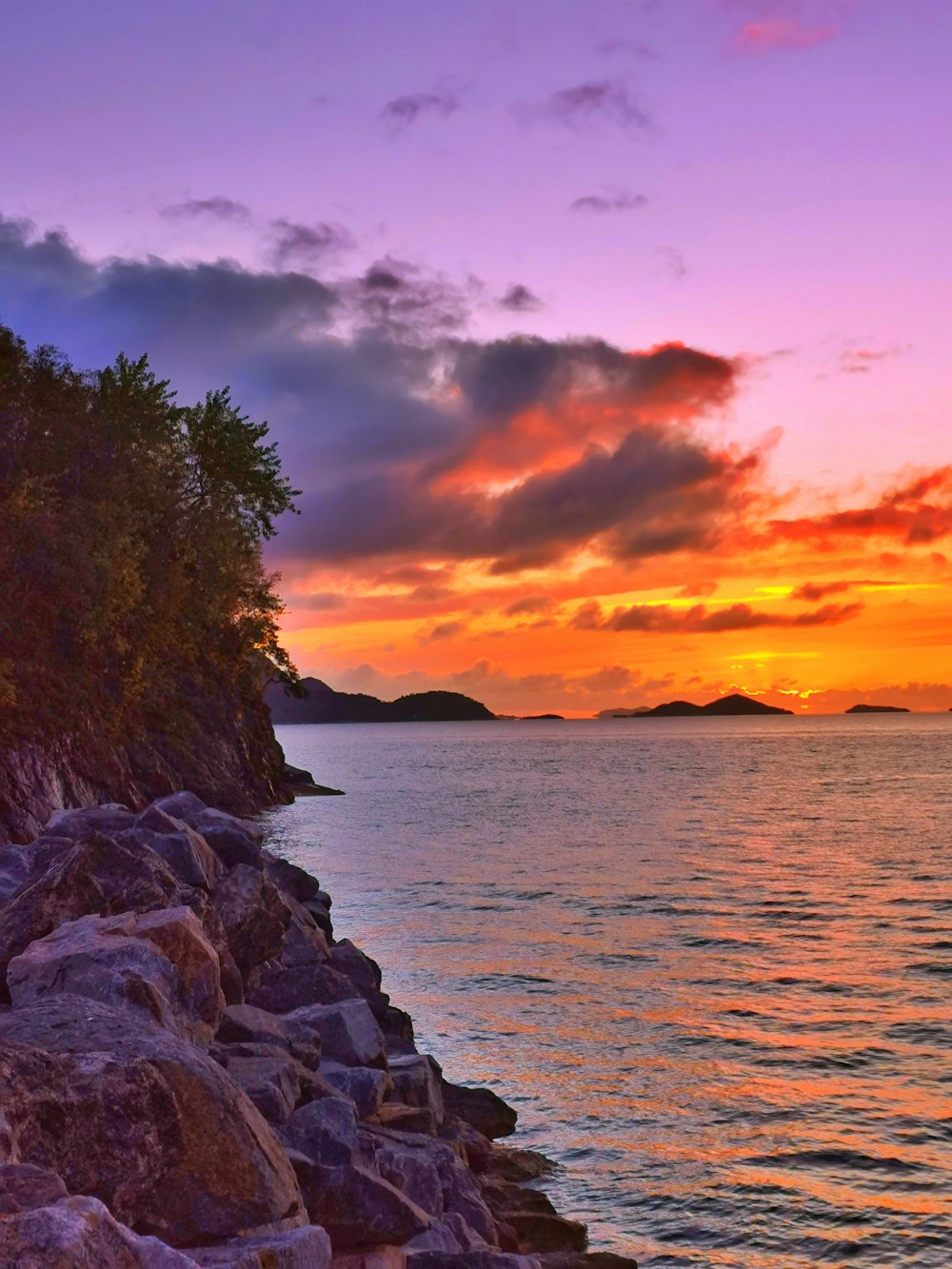 green trees beside body of water during sunset