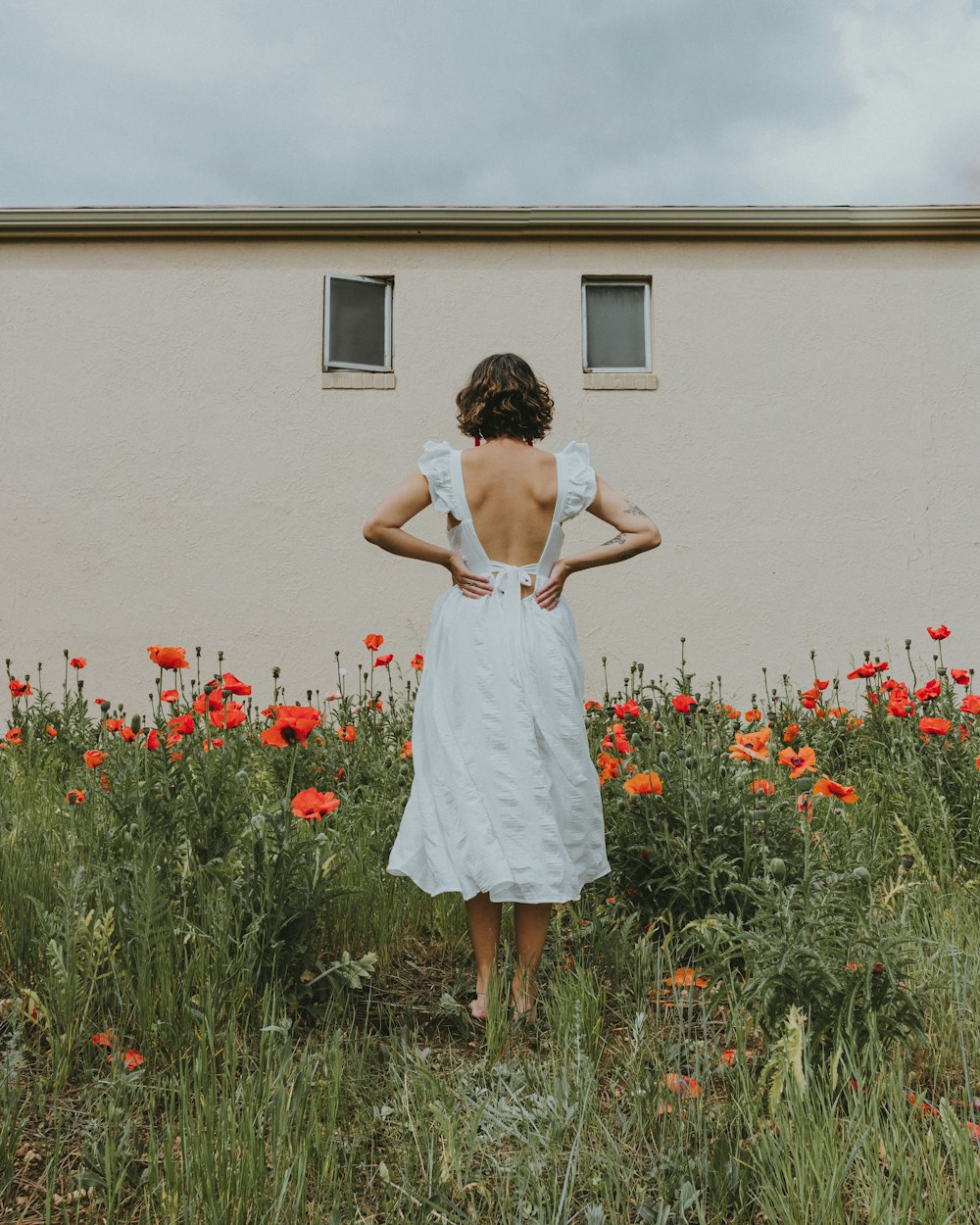 昼間、赤い花畑に立つ白いドレスの女性