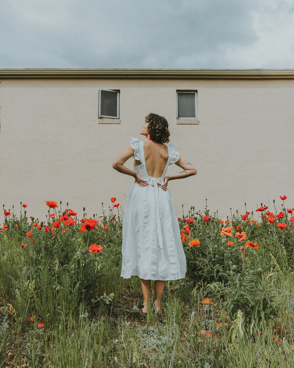昼間、赤い花畑に立つ白いドレスの女性