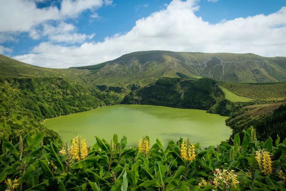 Montagna verde vicino allo specchio d'acqua durante il giorno