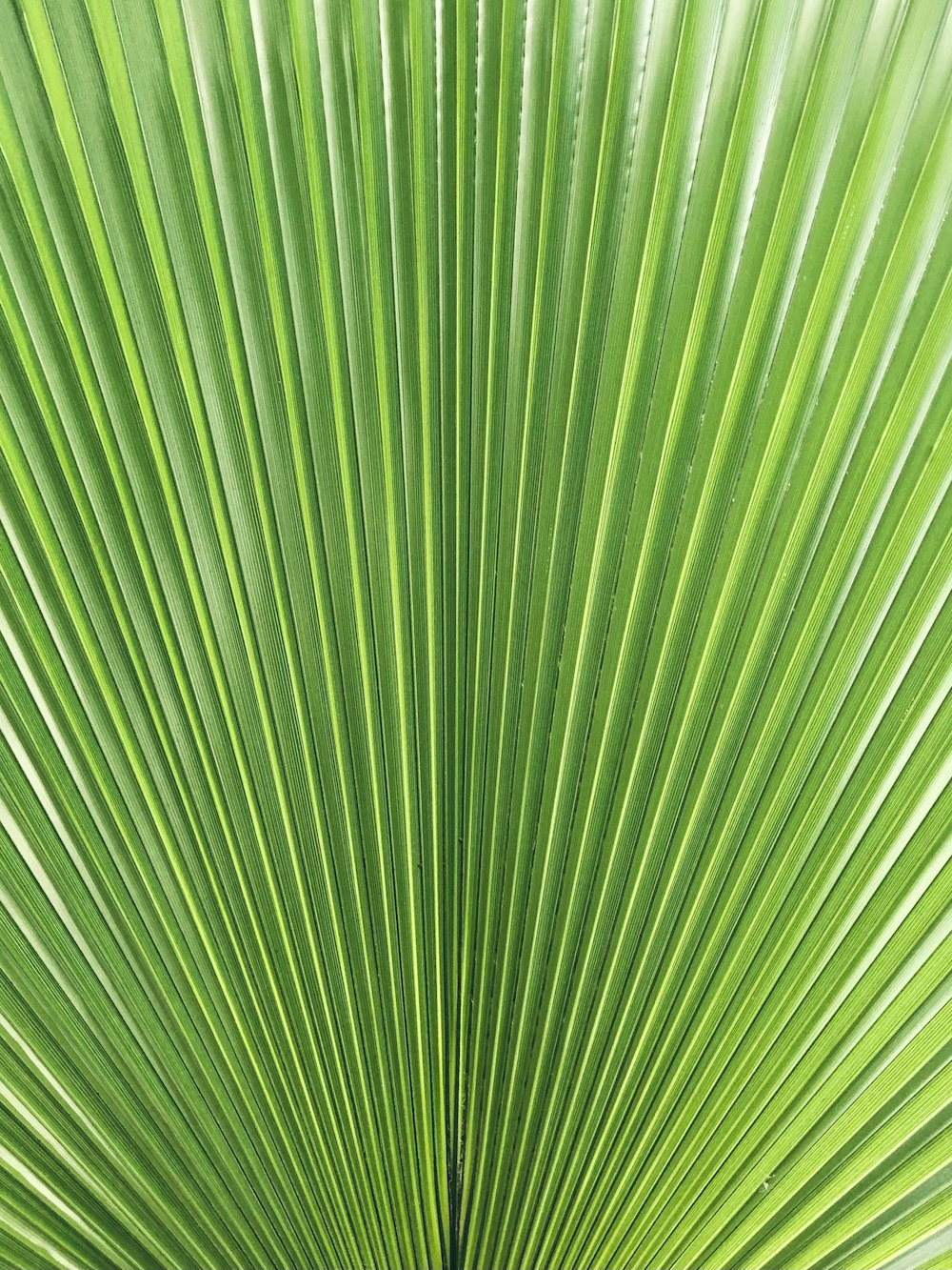 green and yellow striped textile