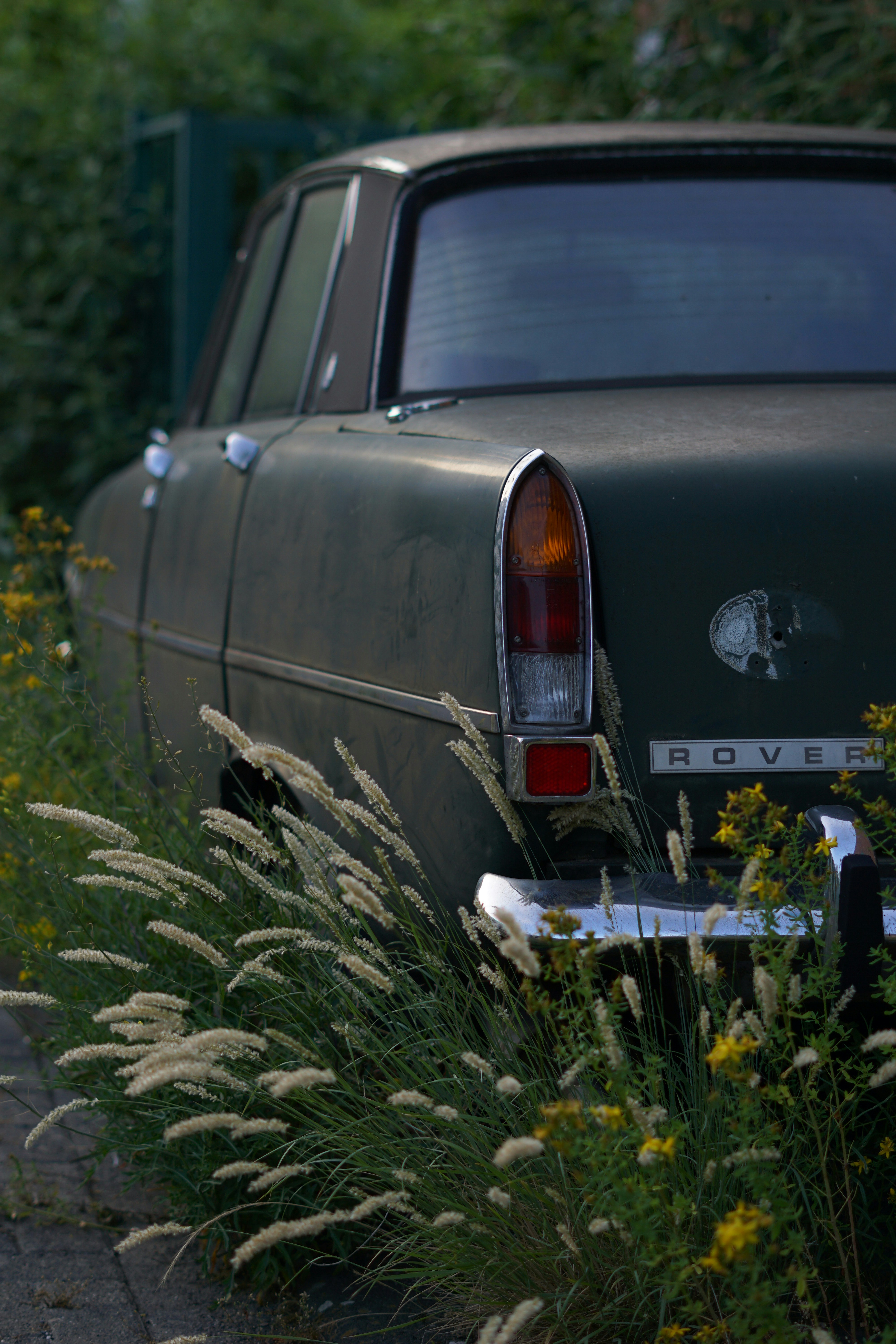 Photo by konrad_rolf