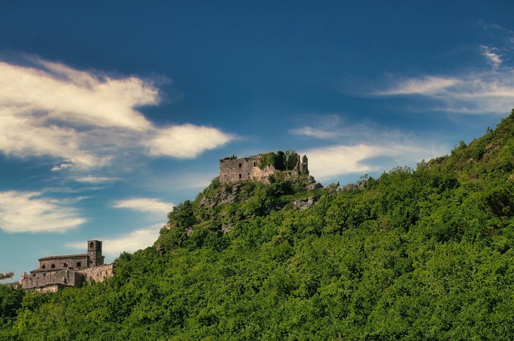 green trees on mountain under blue sky during daytime