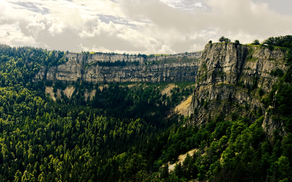 green trees on mountain under cloudy sky during daytime