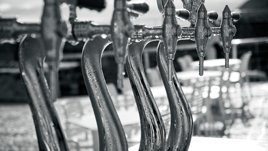 grayscale photo of metal chain link fence