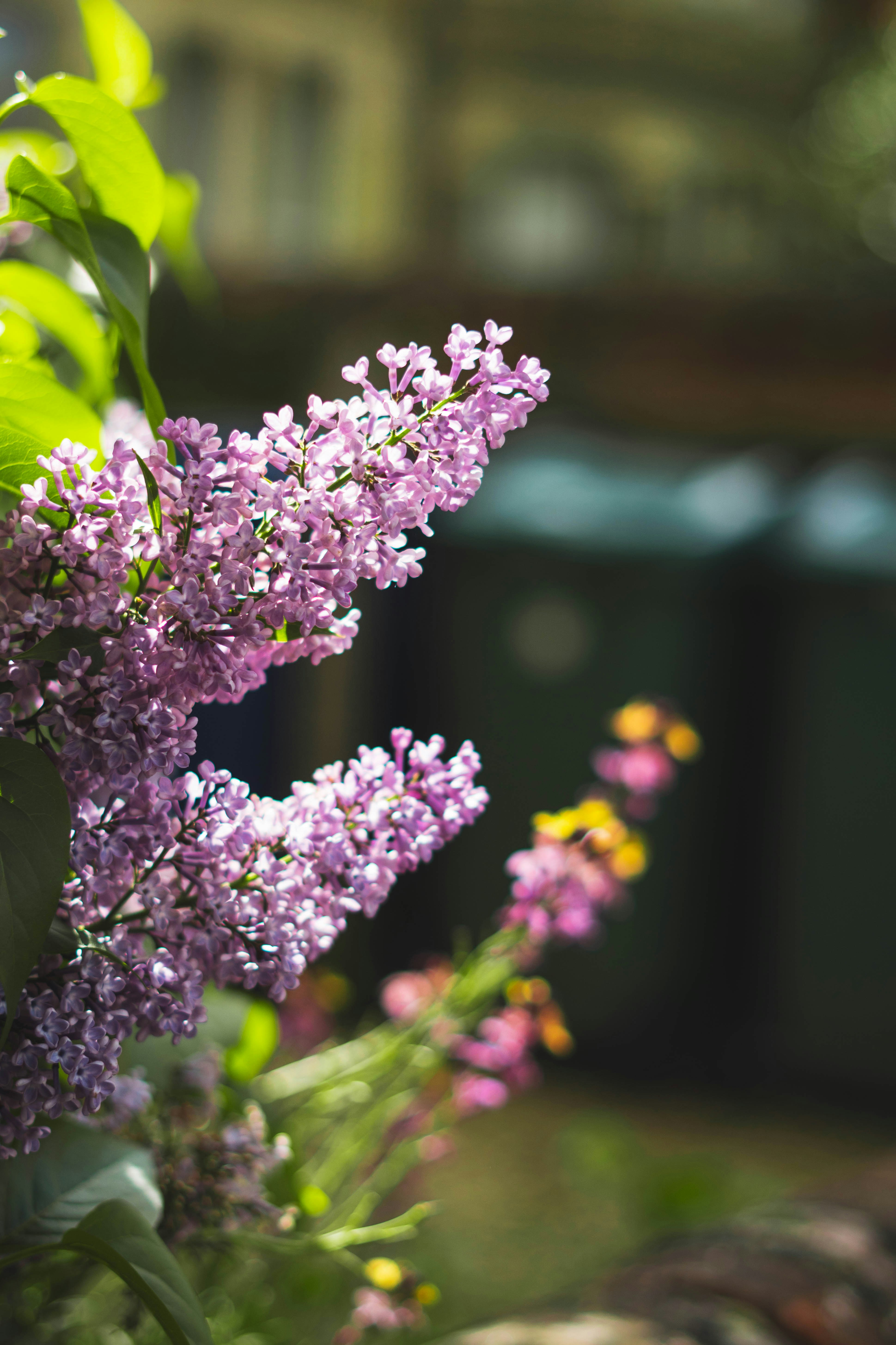 Photo by kylebushnell