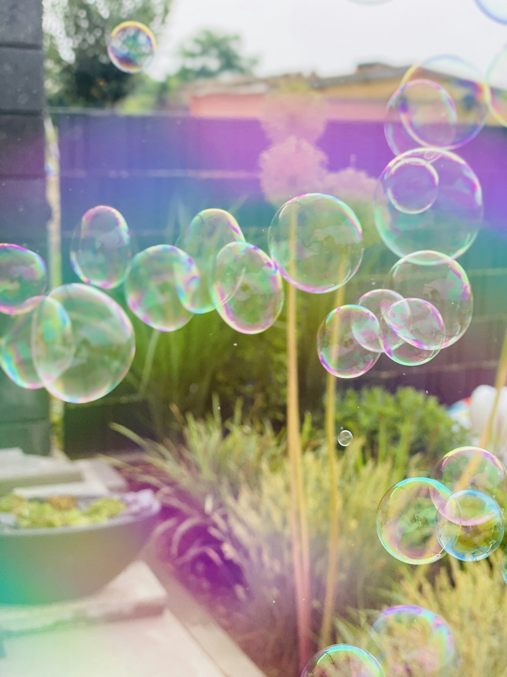 bubbles in mid air during daytime