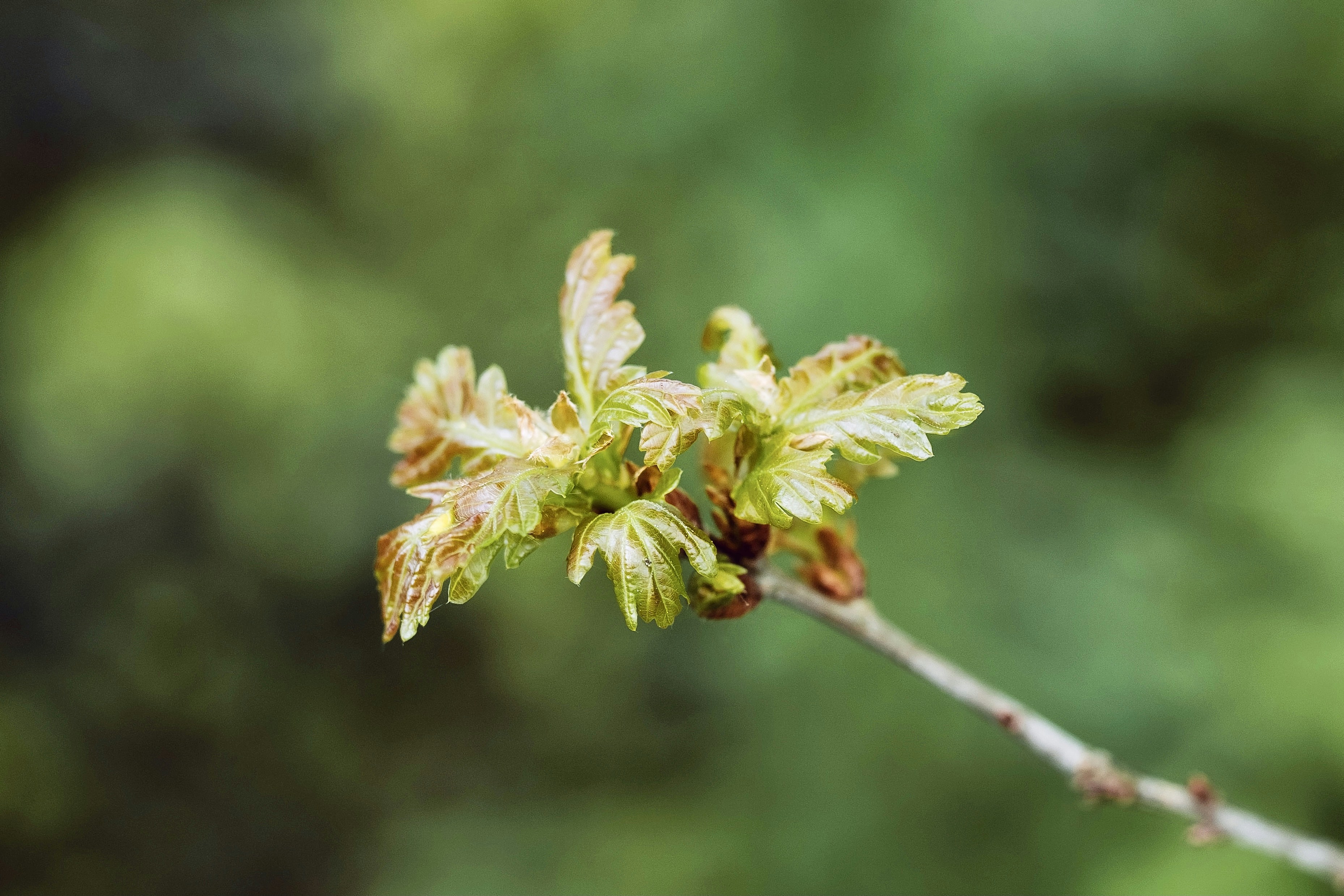 Photo by sinusfiction