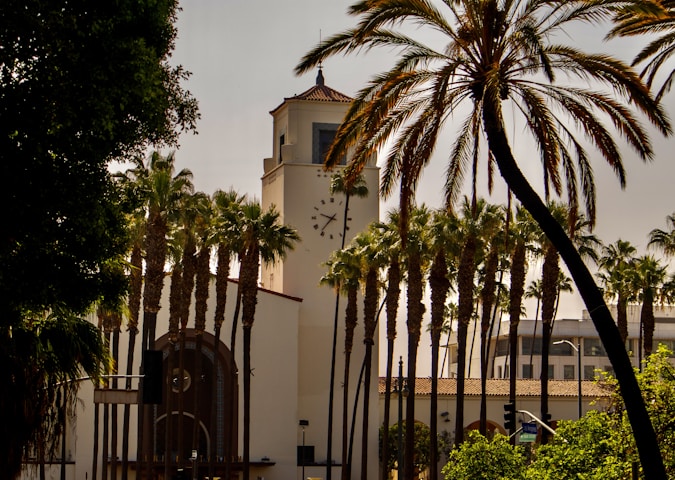 University of California, Los Angeles