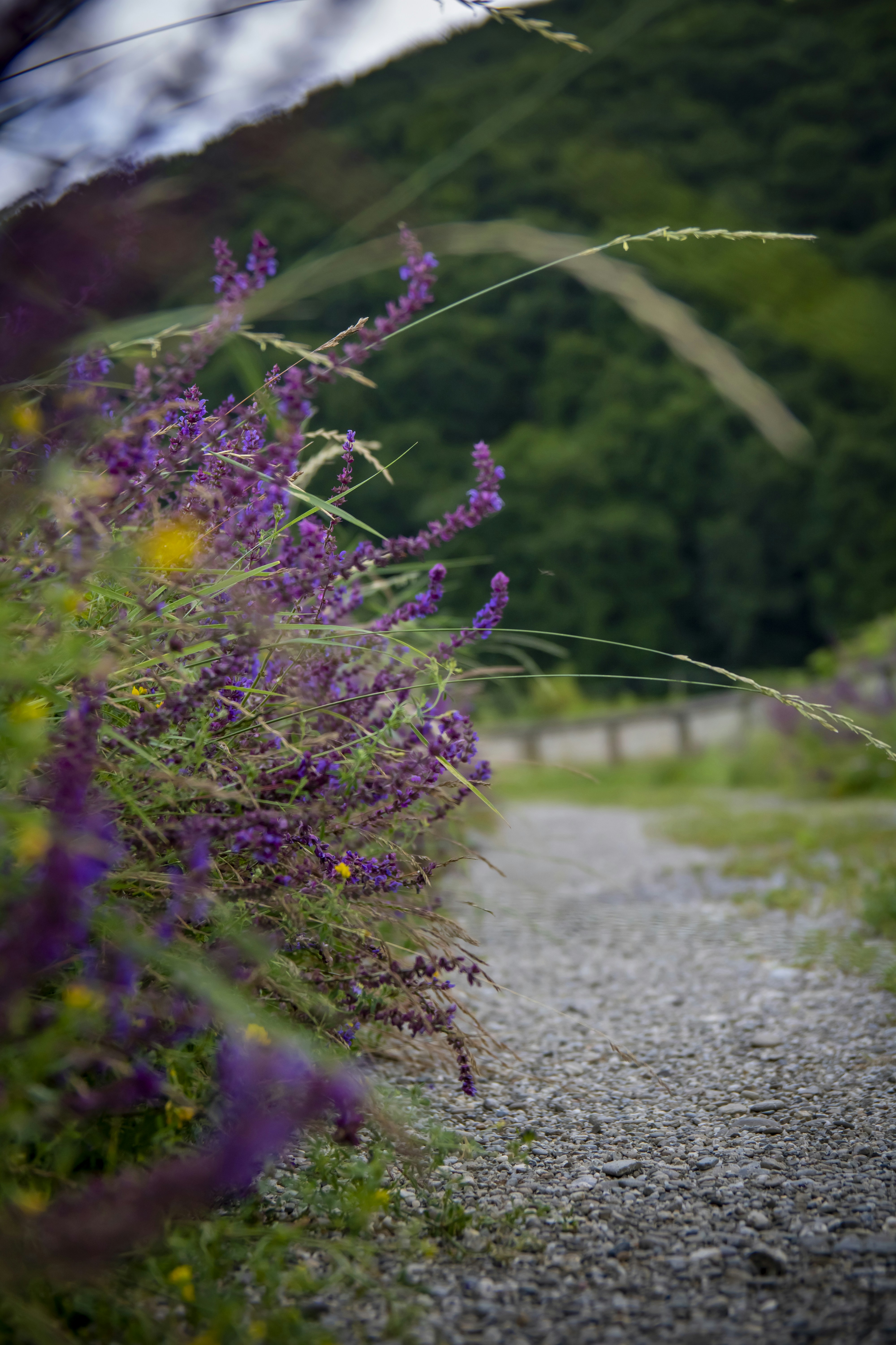 Photo by ovidiugruescu