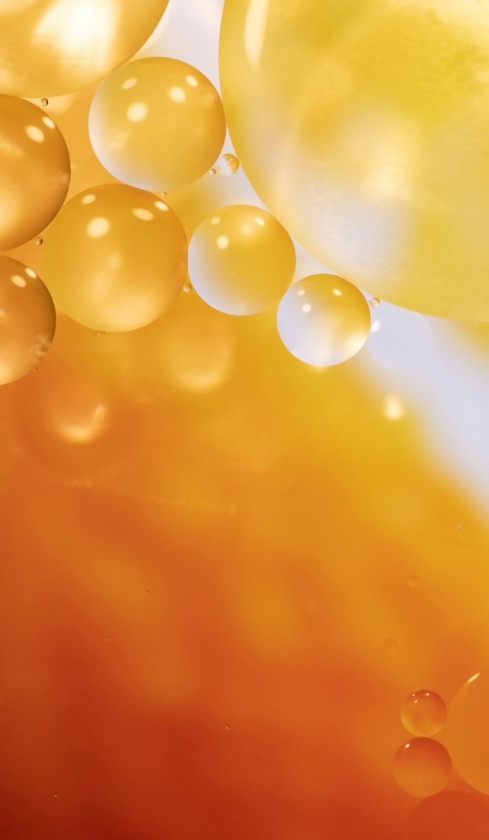 yellow round balls on water