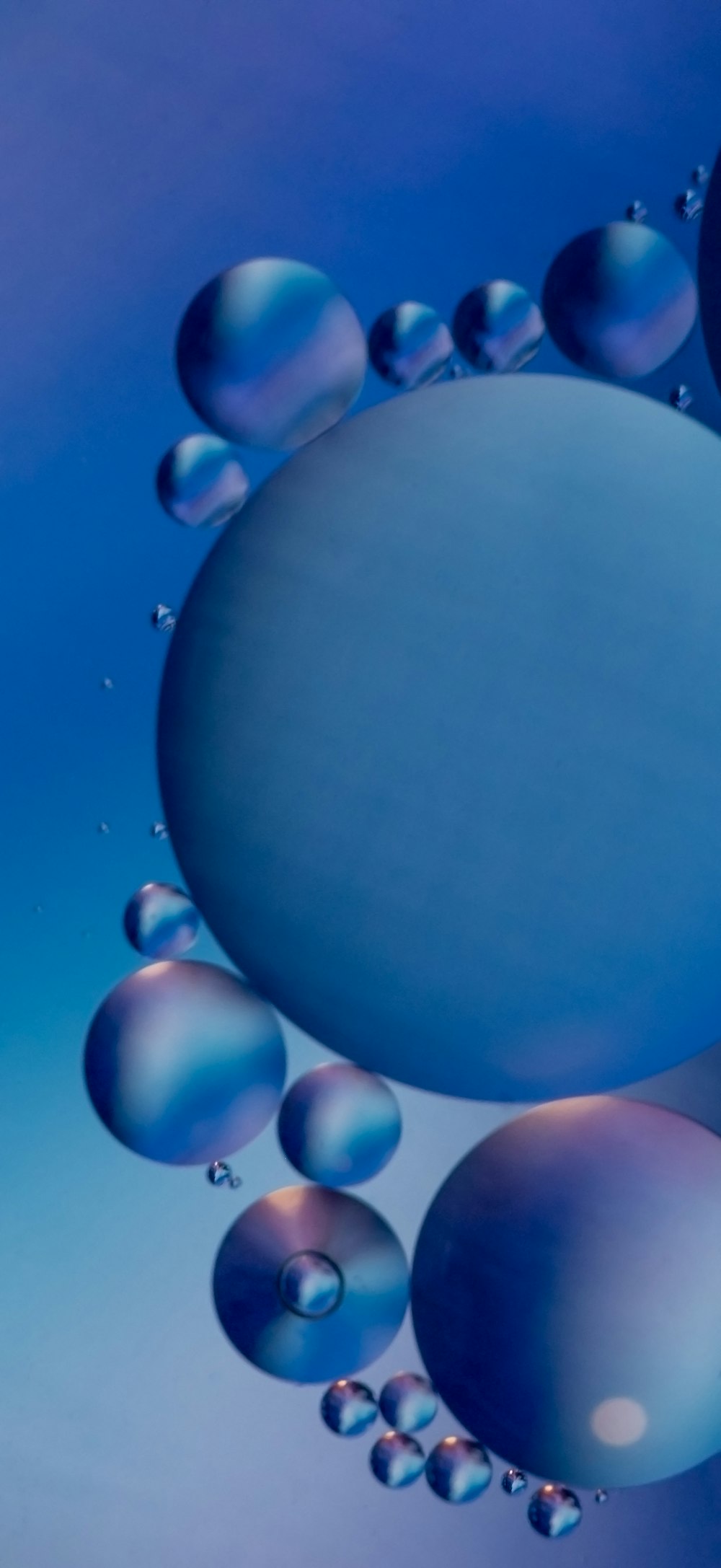 blue and white balloons with blue background