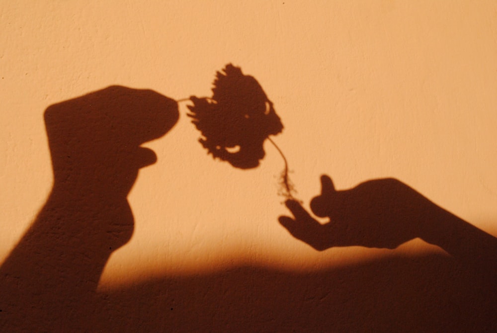 silhouette of man holding stick