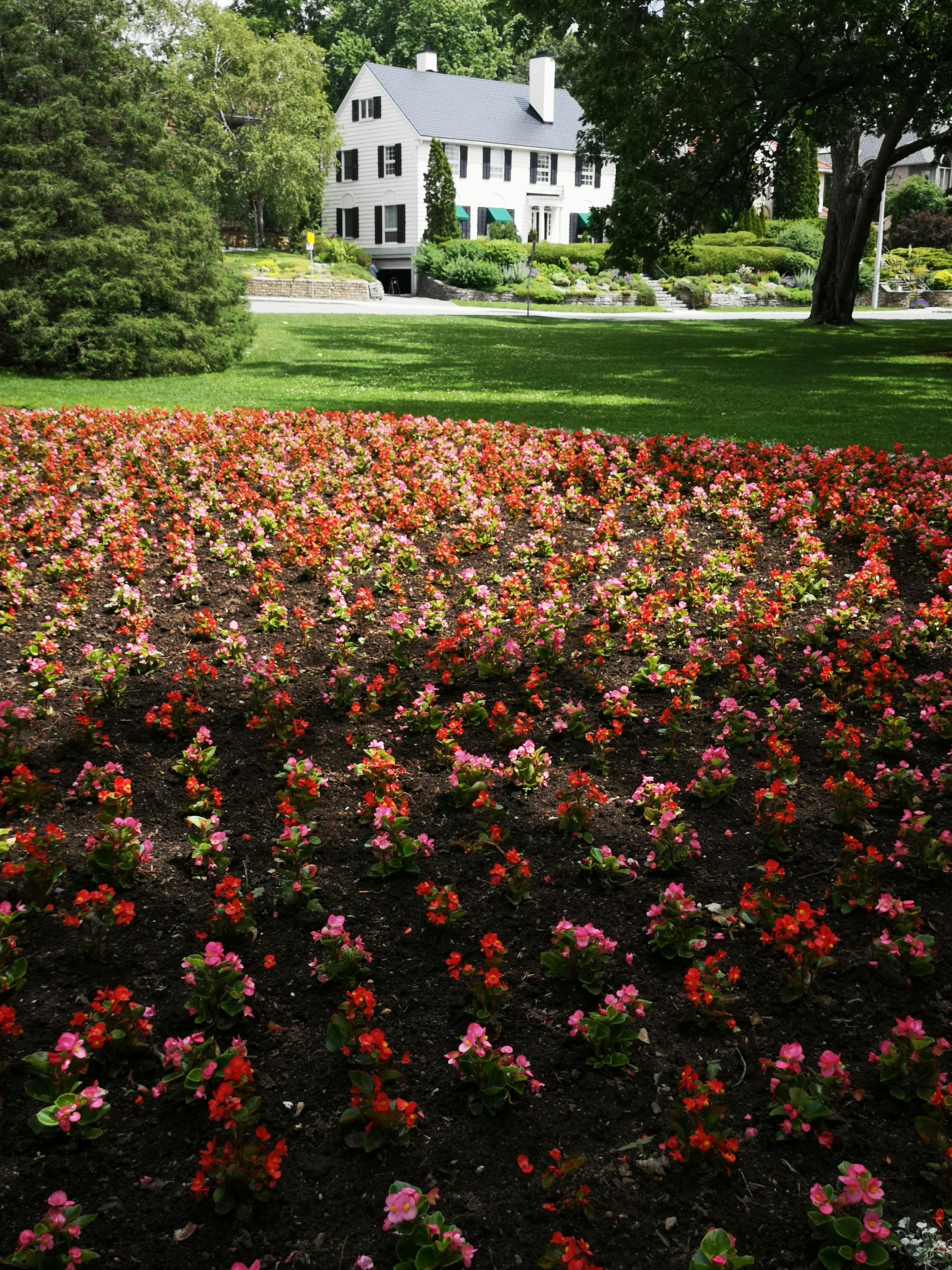 Low maintenance flower garden ideas