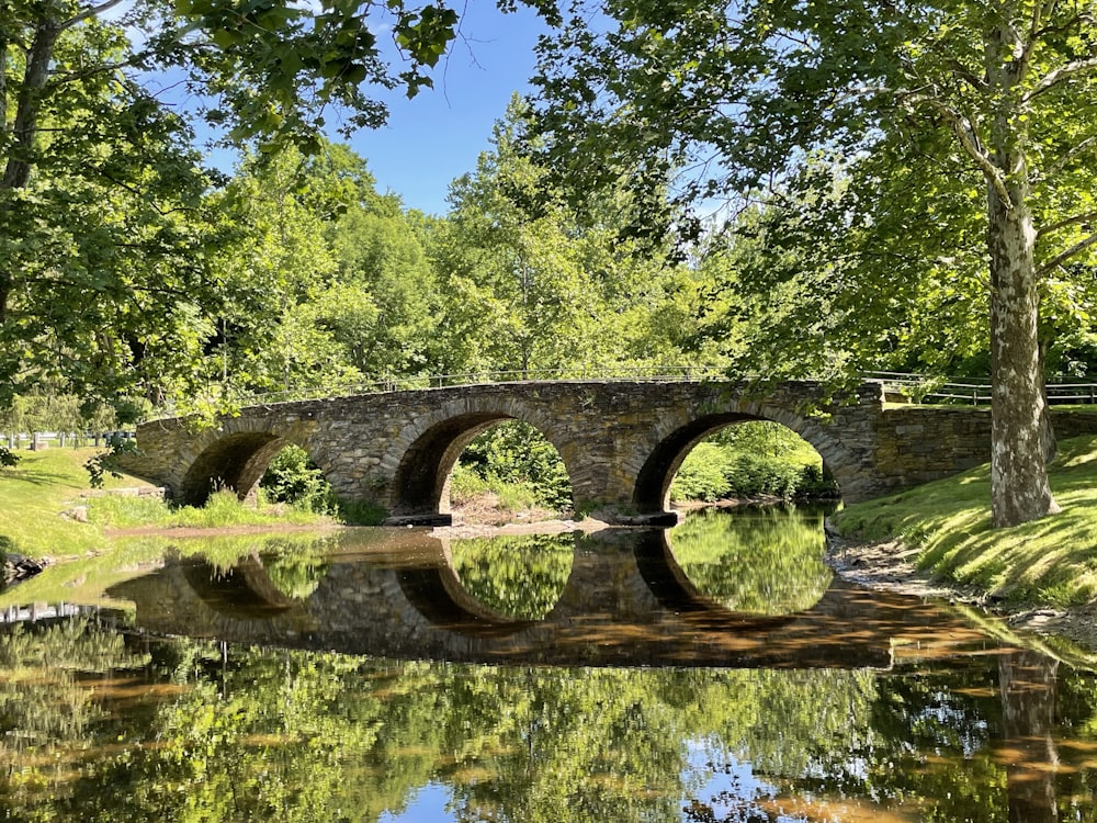 Puente de hormigón marrón sobre el río