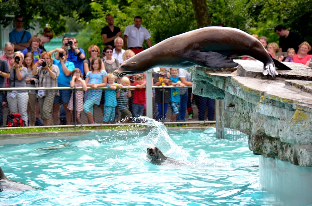 people in swimming pool during daytime