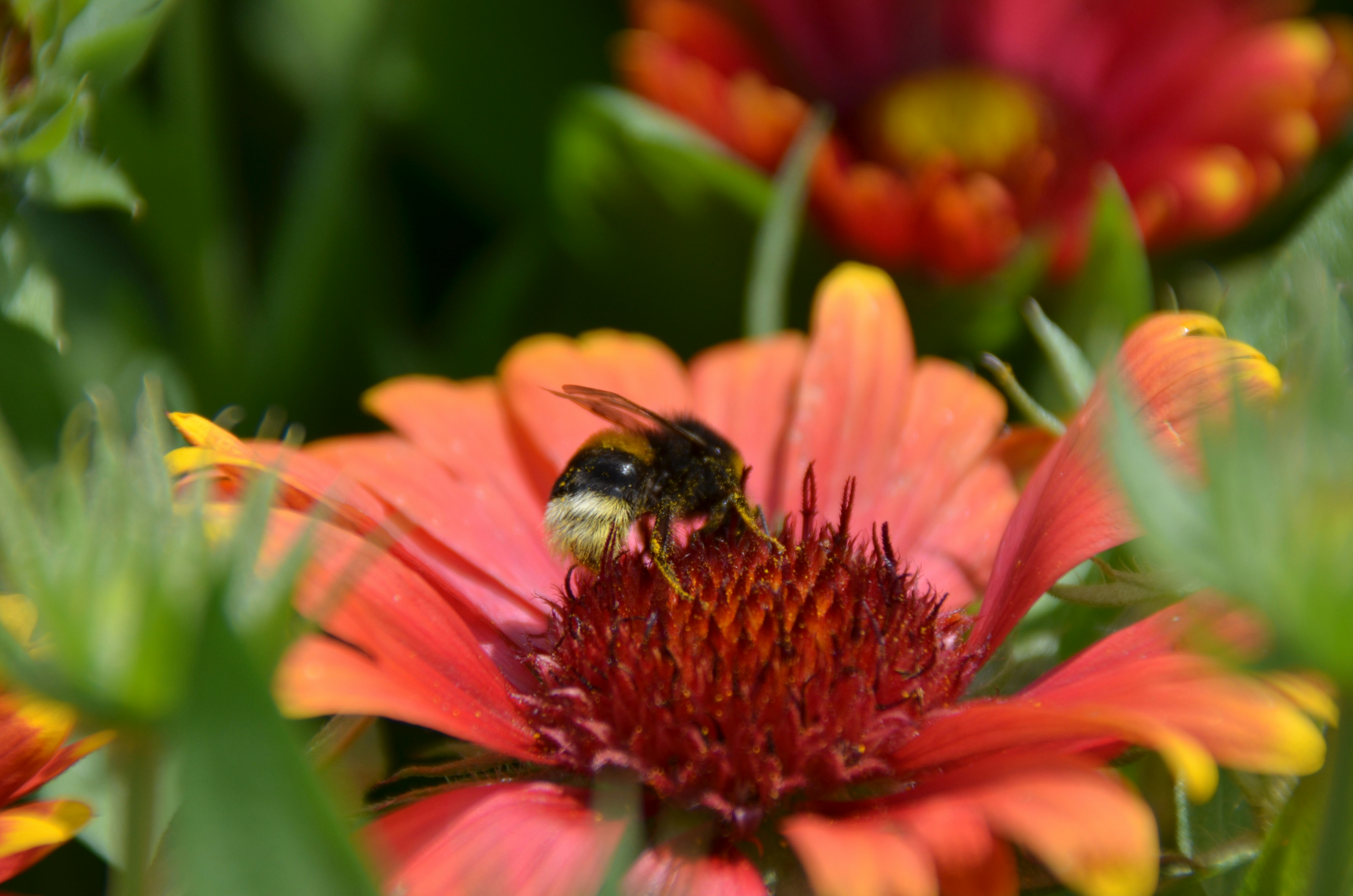 Photo by lisaburghardt