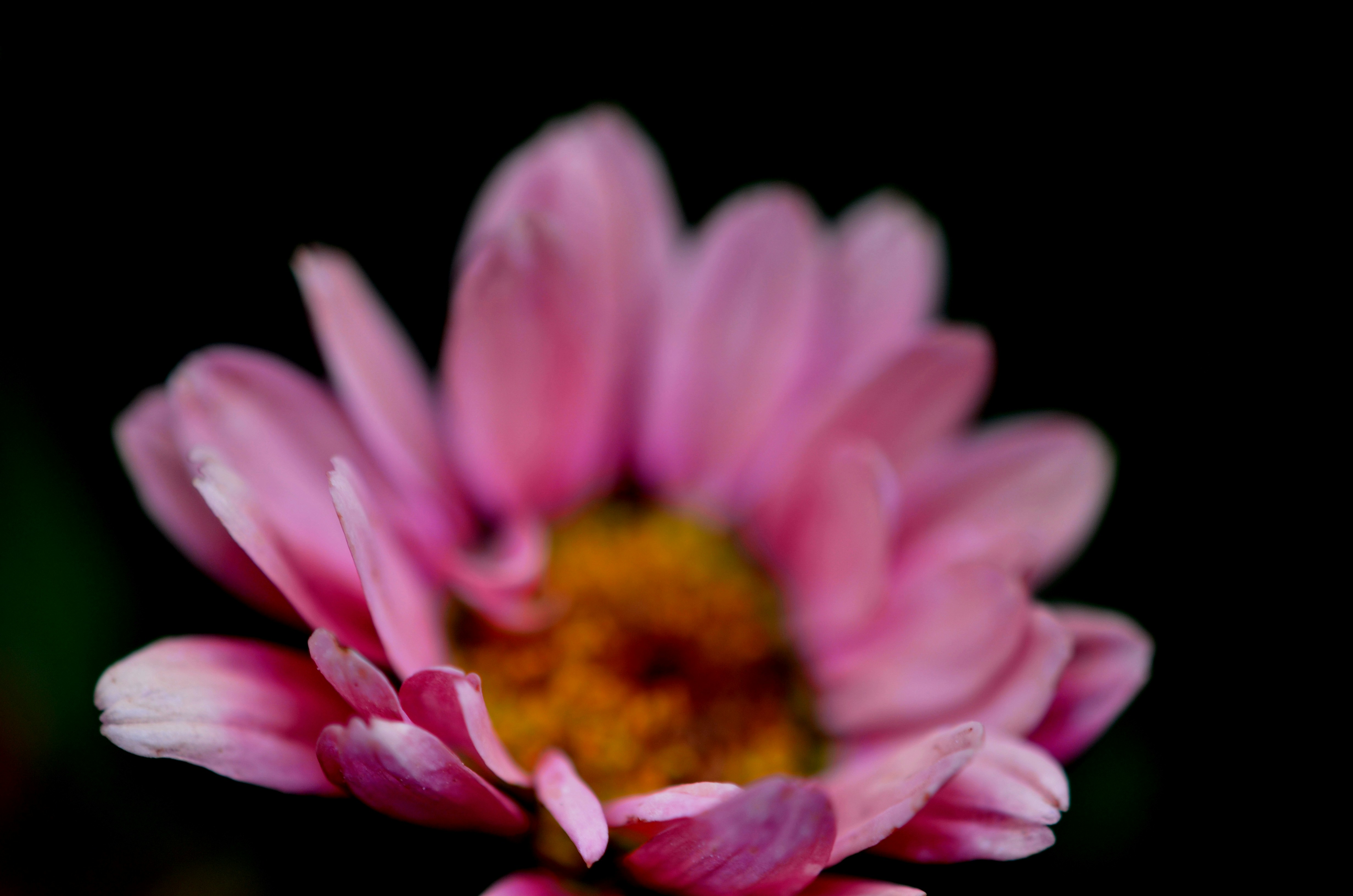 Photo by lisaburghardt