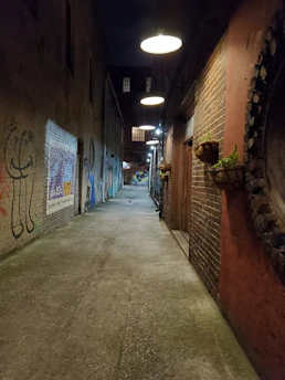 A serene urban alley bathed in twilight, with subtle mystical symbols glowing faintly on the walls.