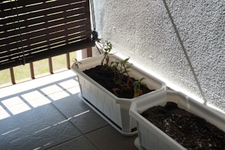A small potted garden with several plants in a white rectangular planter placed on a tiled surface next to a textured wall. The scene is partly shaded by a bamboo blind, casting linear shadows on the ground. The plants appear to be struggling with some wilted leaves.