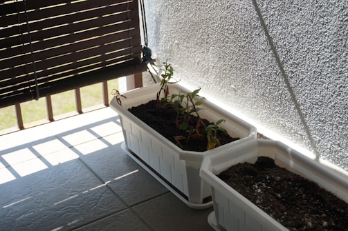 A small potted garden with several plants in a white rectangular planter placed on a tiled surface next to a textured wall. The scene is partly shaded by a bamboo blind, casting linear shadows on the ground. The plants appear to be struggling with some wilted leaves.