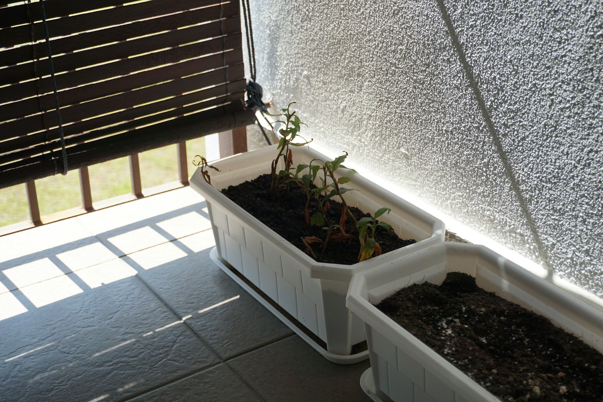 woman wearing yellow long-sleeved dress under white clouds and blue sky during daytime