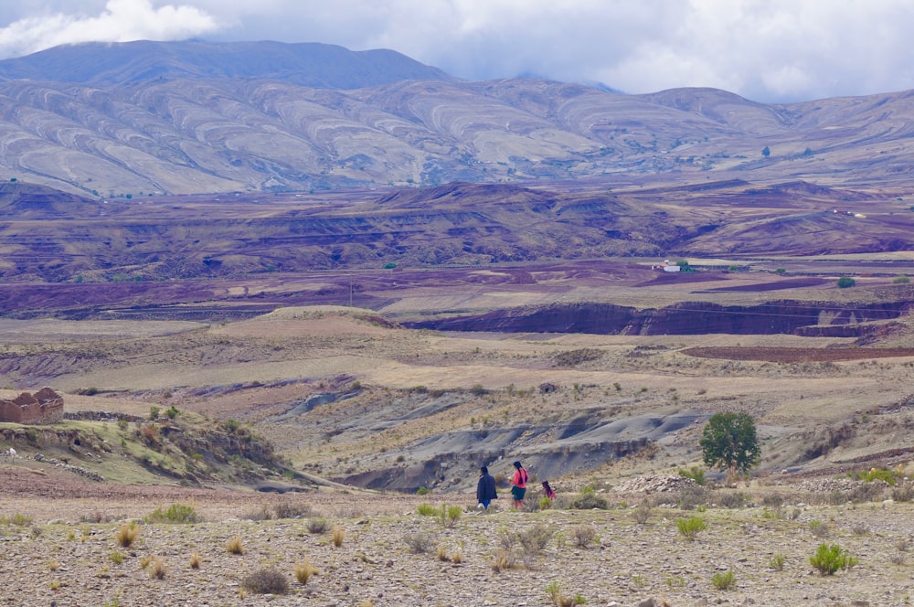 person in red jacket walking on brown field during daytime