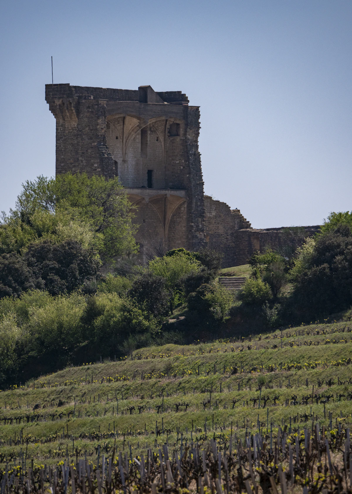 Châteauneuf-du-Pape